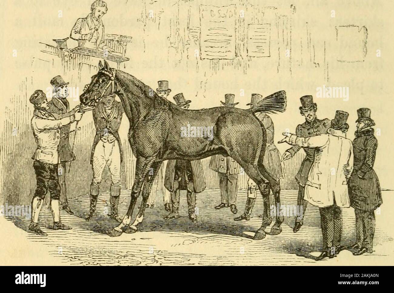 Il cavallo e il cane : i loro vari usi e trattamento, comprese illustrazioni pratiche di equitazione e di un trattato sul cavallo-trattare . ripetute tariffe e crepe di thewhip rendere hounds volare a loro huntsman a thistime con le loro teste. Quando essi sono di draw-ing correttamente verso di lui e non una parola dovrebbe besaid; un whipper-in sella al di fuori di essi saranno besufficient. È appena il caso di dire un whipper-in, tobe perfetto, dovrebbe essere compiuto uno cavaliere,come nulla richiede un molto più rigorosa e più bella handthan l atto di seguito a hound su open groundto flog lui. Un whipper-in, howev Foto Stock