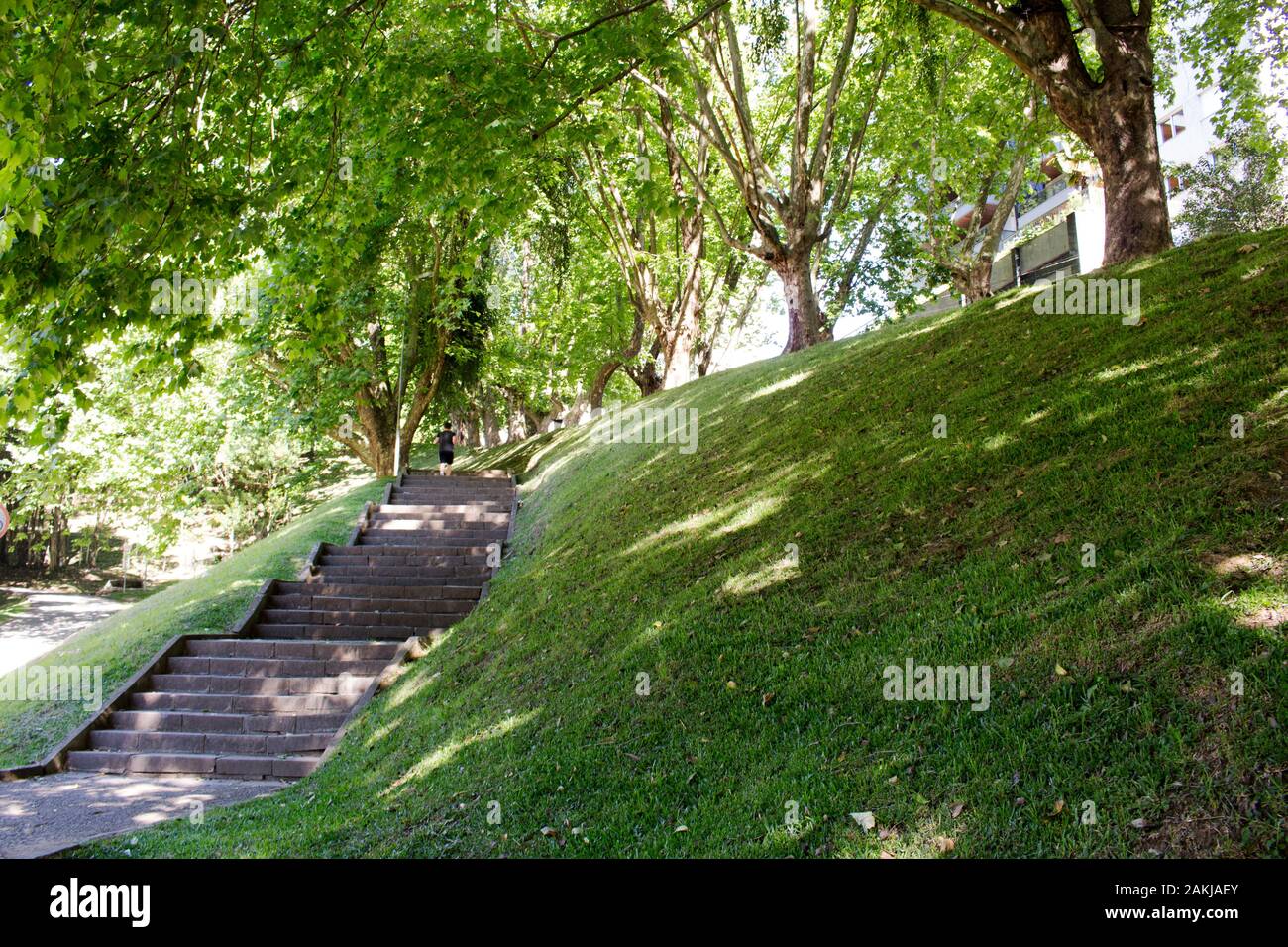 Parco urbano con alberi, ad uso della popolazione per il tempo libero, jogging, passeggiate, passeggiate. Foto Stock