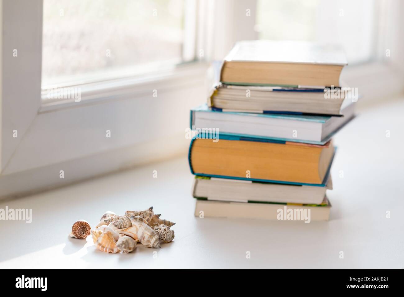 Composizione estiva con la pila di libri e conchiglie. Stagione estiva concetto, copia di spazio, il fuoco selettivo Foto Stock