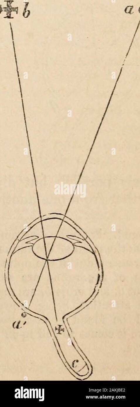 Contorni della fisiologia comparate toccando la struttura e lo sviluppo delle razze di animali viventi e estinti : per l'uso di scuole e collegi . vedere più di un singolo punto di un perfetto objectwith distinguibilità; se ci sembrano prendere in più,è solo dalla rapidità con la quale la Fig. 40. gli occhi di viaggio e di sondaggio ogni pointin successione uno dopo l'altro. Insurveying una foto da vicino, abbiamo areconscious di questo-guardiamo un partafter altro; a distanza, infatti, wereceive una impressione generale di thework, ma questo è solo perché la raysthen provengono dall'oggetto al grande ina Foto Stock