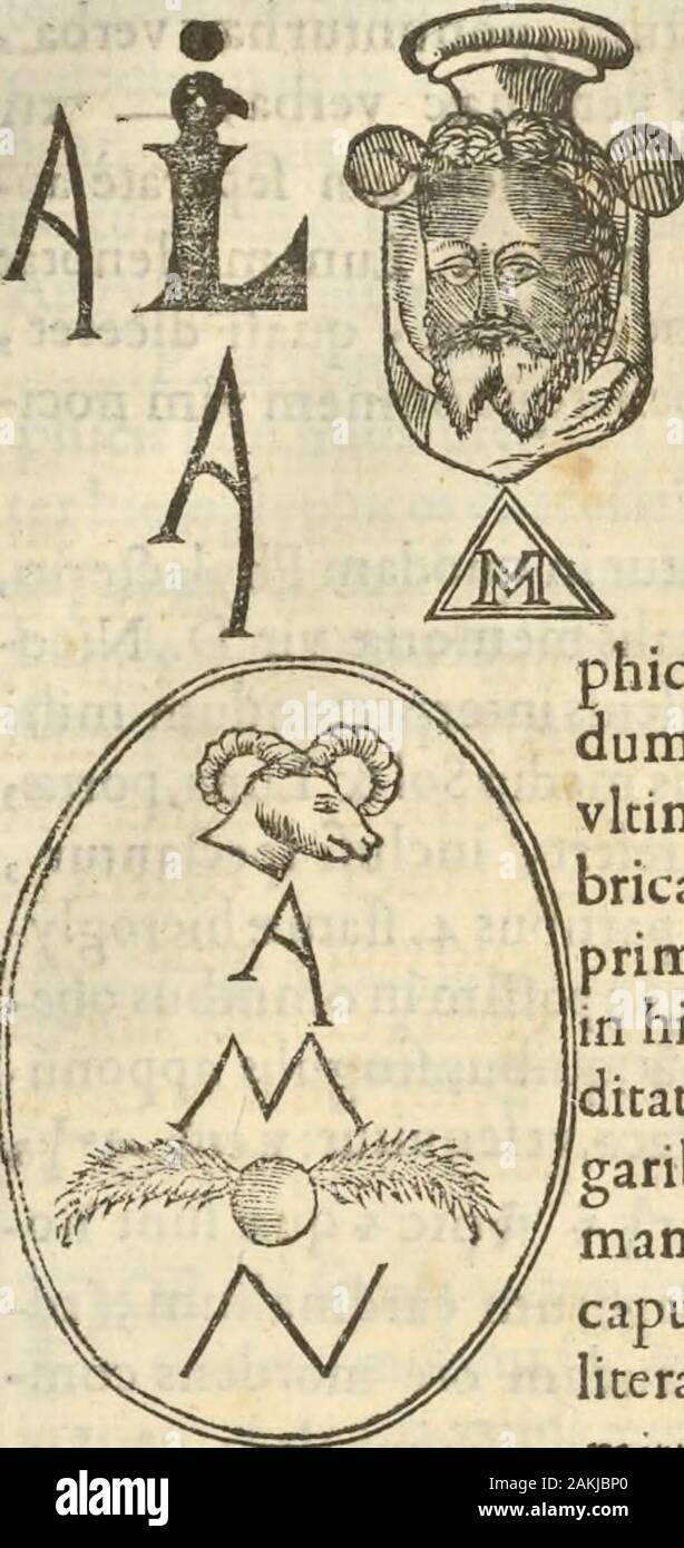 Athanasii Kircheri e SocIesu Obeliscus Pamphilius, hoc est, interpretatio noua & hucusque intentata obelisci hieroglyphici quem non ita pridem ex veteri hippodromo Antonini Caracallae Caesaris, nel forum agonale transtulit, integritati restituit & in Vbis Aeternae ornamentum erexit Innocentius XPontMax: in quo post varia Aegyptiacae, Chaldaicae, Hebraicae, Graecanicae antiquitatis doctrinaeque qua sacrae, qua profanae monumenta, veterum tandem theologia, hieroglyphicis inuoluta symbolis, detecta e tenebris in lucem asseritur . gnum fane dubium Le tori curiofb hoc loco proponimus, cuidiffoluendo Foto Stock