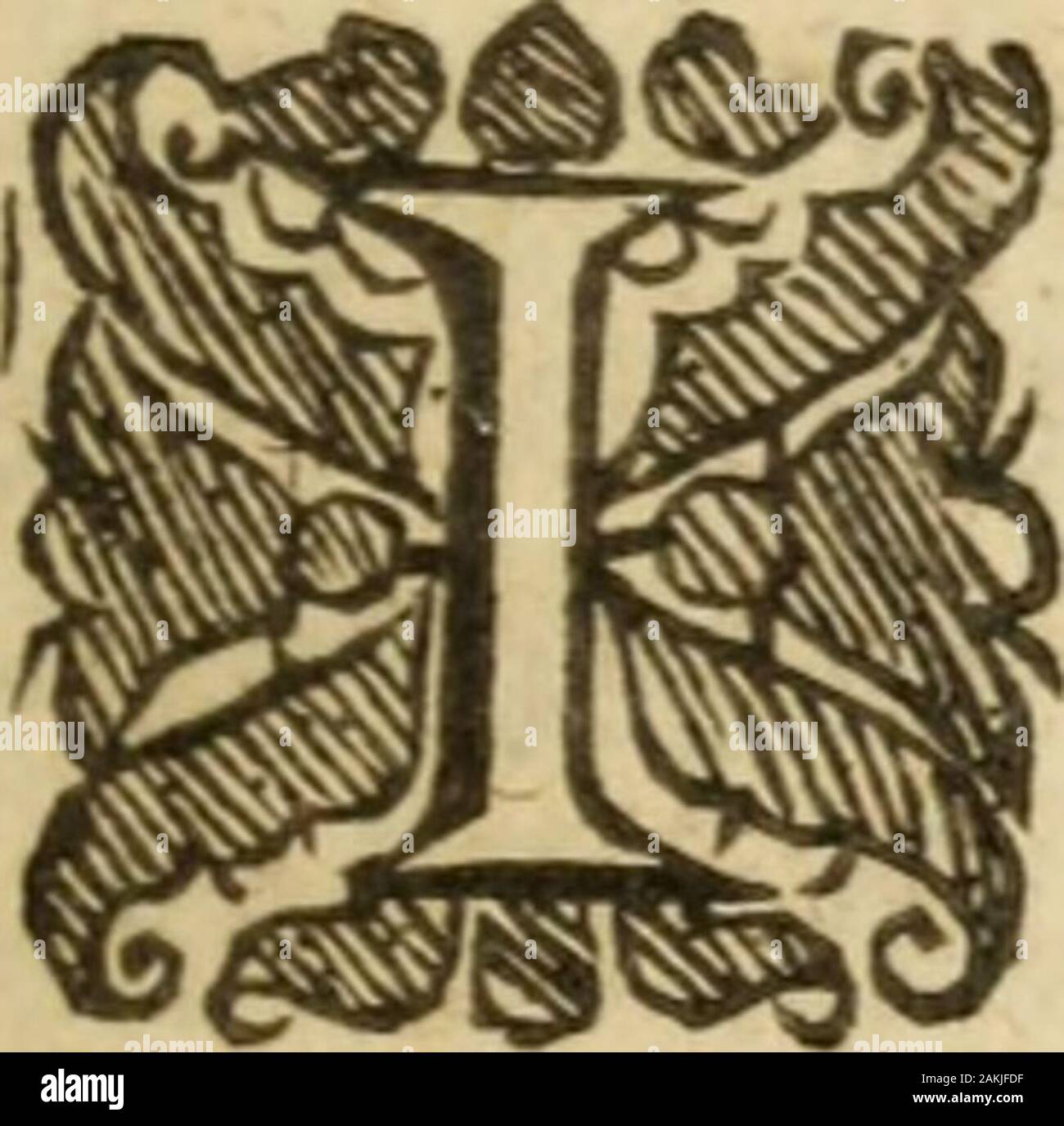 Selezionare discorsi ... . Iam Morden,!Bookfeller in Cambridge, simili carejhall essere takenfor il publifhing di loro come si č stata per questo Colle Elton. Bbb 3 l'eccellenza e la nobilità DEL VERO RELIGI SU, i. Nella sua (dilagante e originale. 2. Nella sua JS(maturi e Ejfence. 3. Nella sua proprietà e operazioni.4 nella sua Vrogefi. 5. Nel suo termine e fine* Pfalm 16.3.ai santi che sono in terra e all'excel-quaresima, in cui è tutto il mio diletto. Greg. In Nazianzenus Orat. 11. c/ZofjyifoQu, hit tfyei^ifaj hoy©* $ cLpern. Idem in Orat. 2 7.Uvjtov&cw $ hiya^ i% IwolmnThoi vofM^aaiv, IA<m, * fi. X Foto Stock