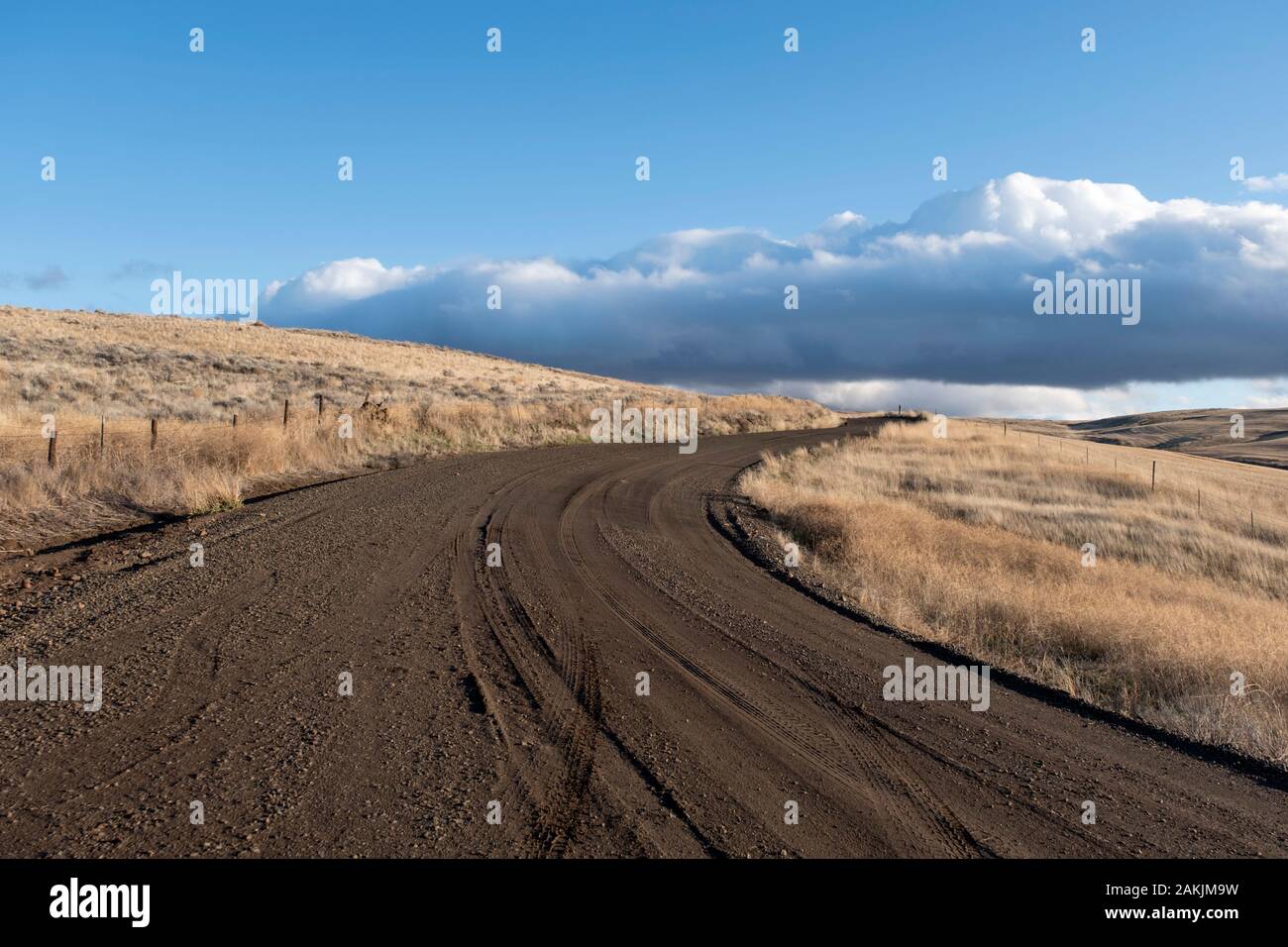 Lonely strada sterrata Oregon prato Foto Stock