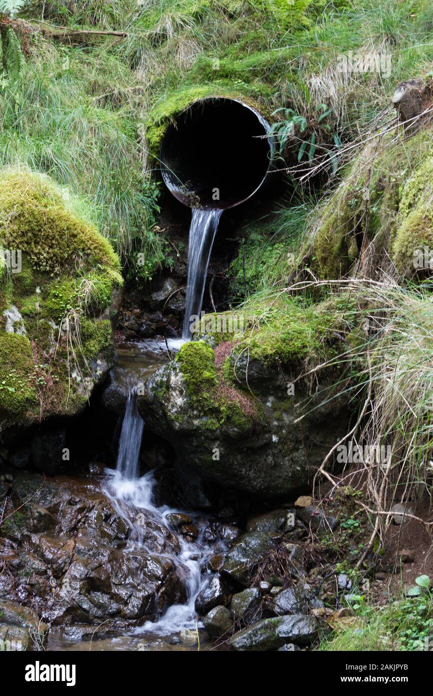 Grande scarico del tubo di drenaggio in boschi naturali Foto stock - Alamy