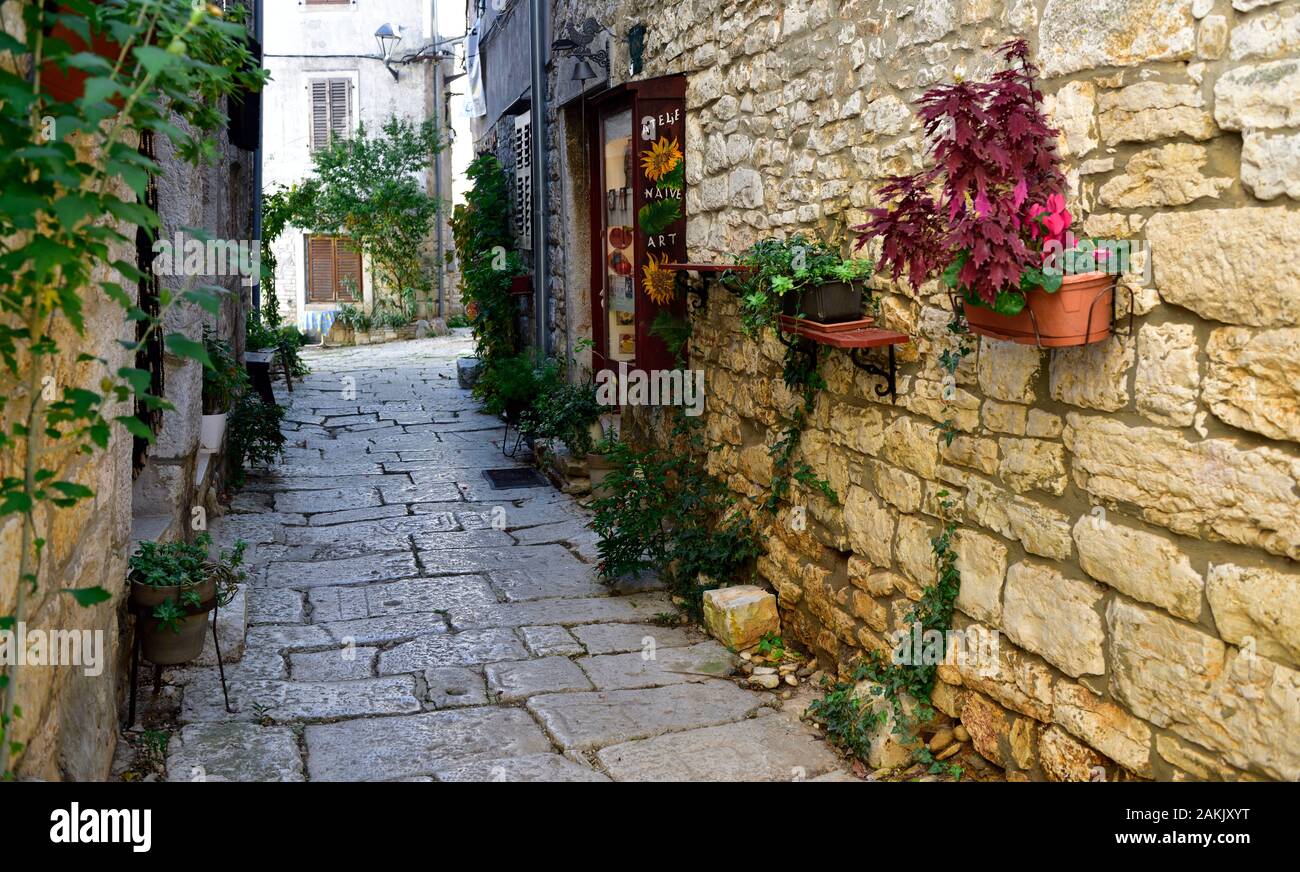Visualizzazione delle piante decorative in vasi di piantatrice lungo il marciapiede nel piccolo borgo di Balla, Croazia Foto Stock