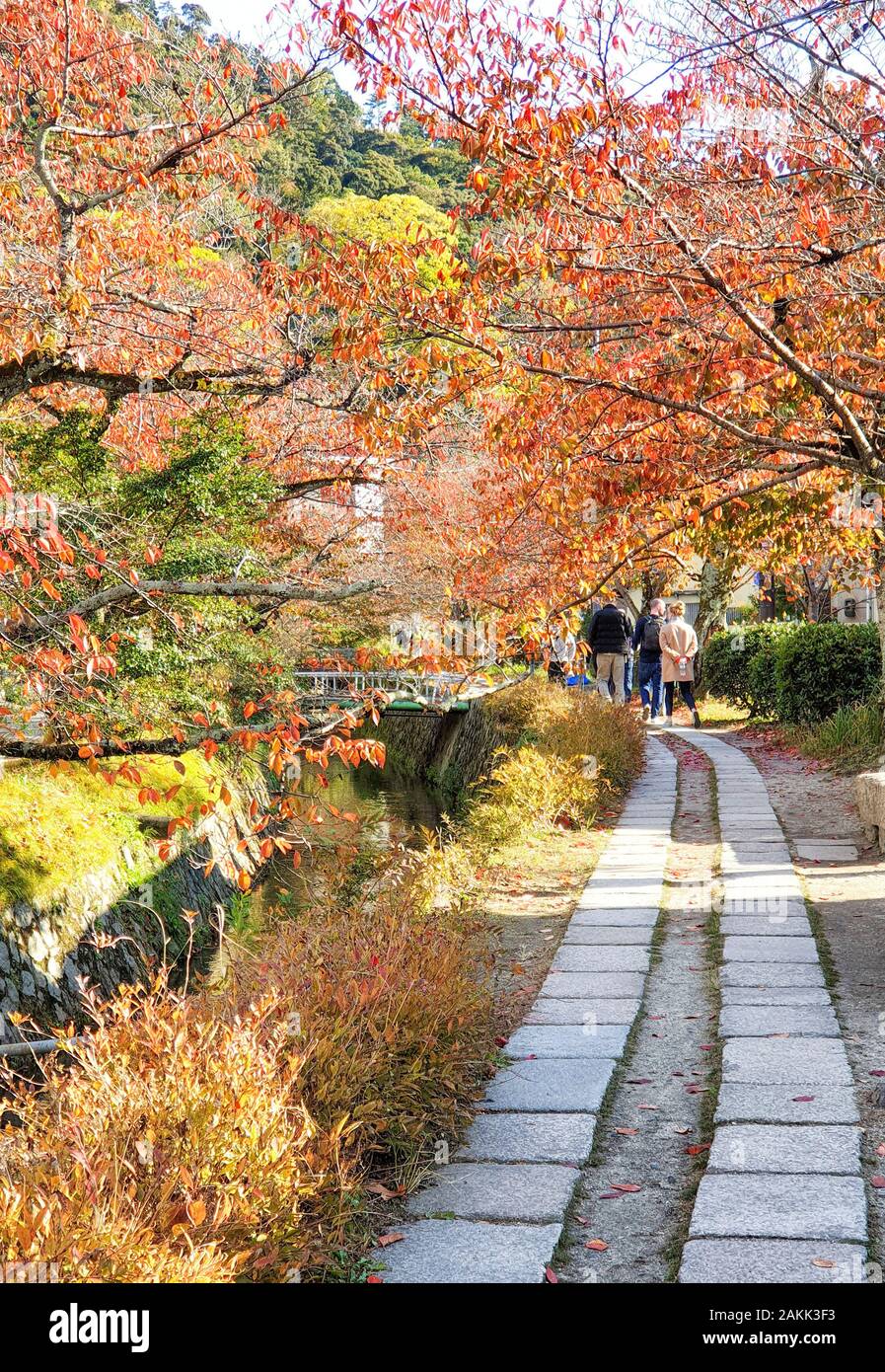 Il filosofo a piedi (nome giapponese: Tetsugaku no Michi) Percorso con Cherry-Trees sui lati di un canale in autunno - Kyoto, Giappone Foto Stock