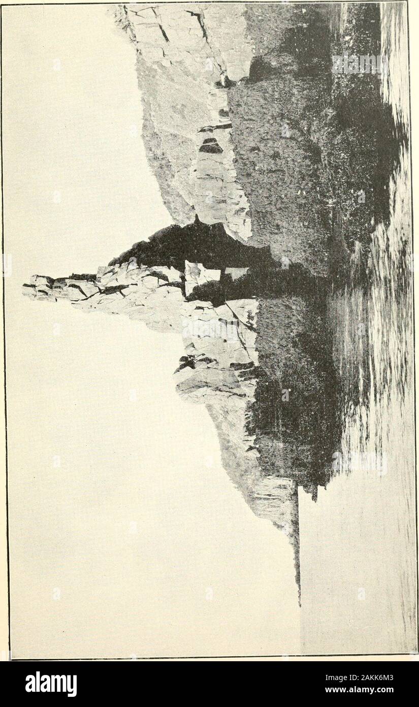 Il pino costa . ^ la riva, che isrudely ma straordinariamente lavorato a forma di croce. Sebbene sia easilyreached dal di sotto, ho trovato il luogo estremamente difficile accedere da versol'estremità superiore della scogliera. Una delle singolarità di questa isola è che, mentre è solo sedici mileslong, la vegetazione è più avanti di una quindicina di giorni pieni a nord rispetto a fine thesouthern, invertendo così il diritto climatiche esistenti sulla terraferma. Thisfact era attestata da più persone rispettabili e. Esso è dovuto forse a. ^^ISS^ UNA CORSA IN GRAND MANAN. 381 La maggior prevalenza di nebbie a freddo, Foto Stock