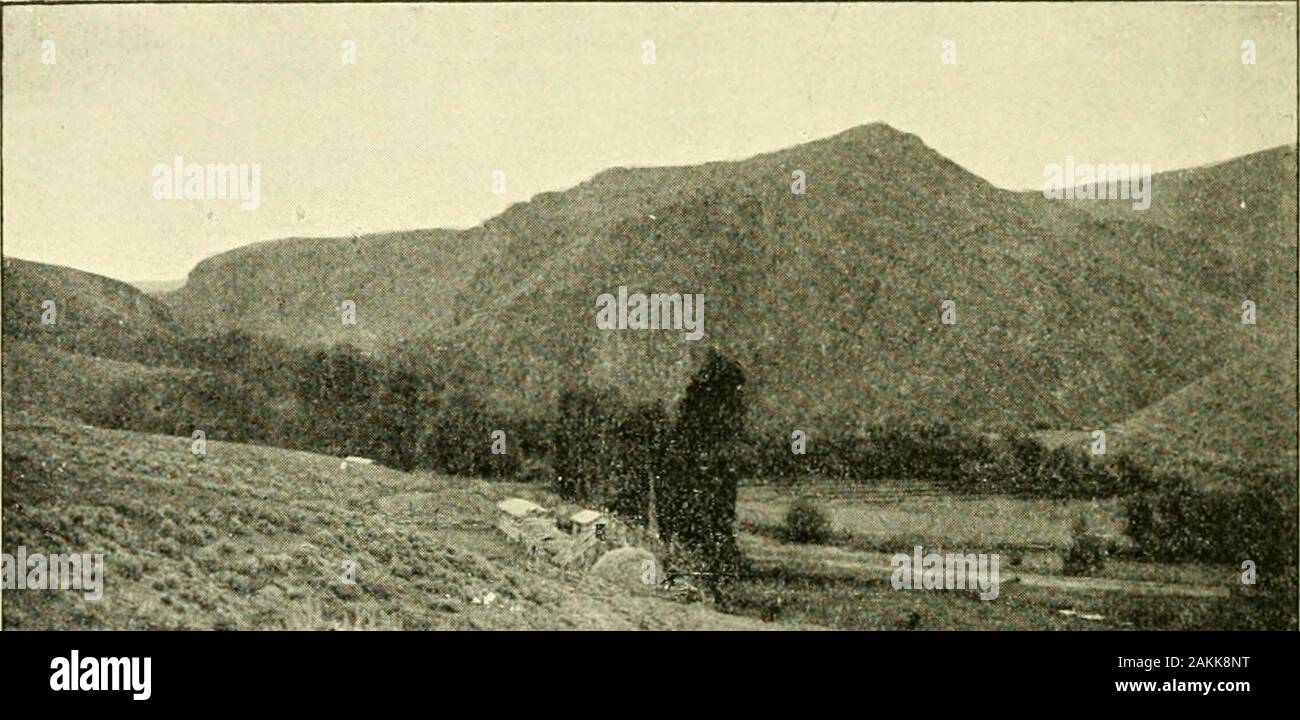 Uno storico, descrittivo e commerciale di directory Owyhee County, Idaho, Gennaio 1898 . , R. S., HEERSO. JAMES. Raiulur. Hotel ratich e. Cooper, W. H., cowboy. Henderson, Giovanni, 3 VOLUMI. Cooper, William, stock. Henderson. La sig.ra M., postoflice andCooper, Roy cowboy. store. Devine, Miss Maggie, cowboy. Hennesy, Martin, ranch mano. Doyle, Thomas, cowboy. Kelly, J. P.. cowboy. Evans, Andrew, mineraria. Kelly, P. J., cowboy. Evans. Giovanni, cavalli. Lambert, capitano, placer mine.Evans, William D., ranch e lana Lancran, Giovanni, cowboy. coltivatore. Lee, Giovanni, ranch mano. Fisk. J. W., camp gara. McD Foto Stock