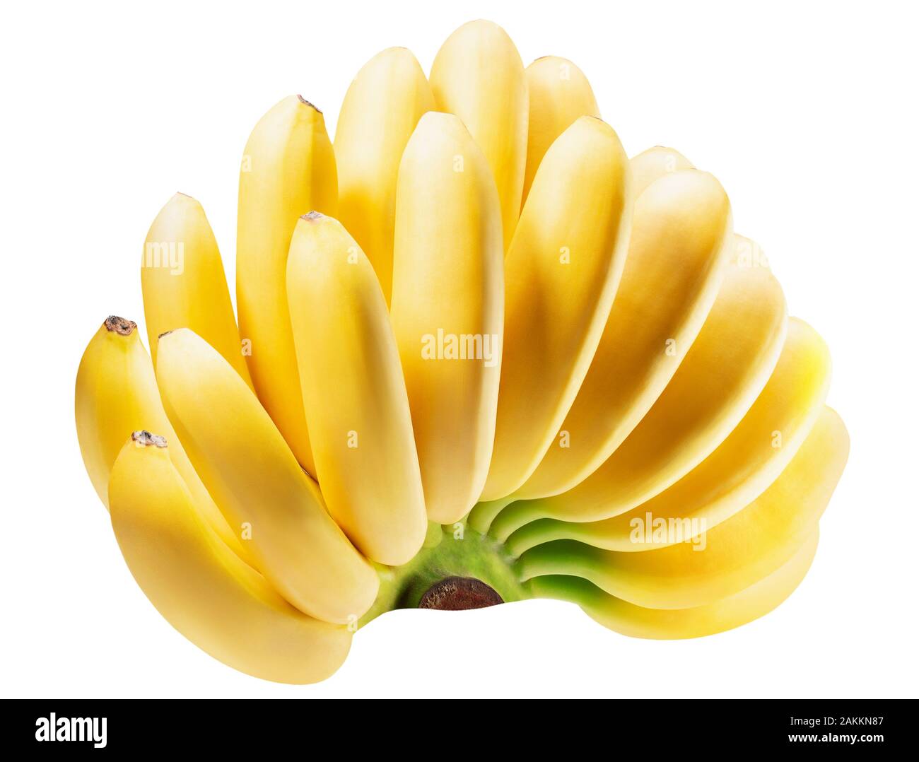 Baby banana mazzetto isolato su uno sfondo bianco. Foto Stock