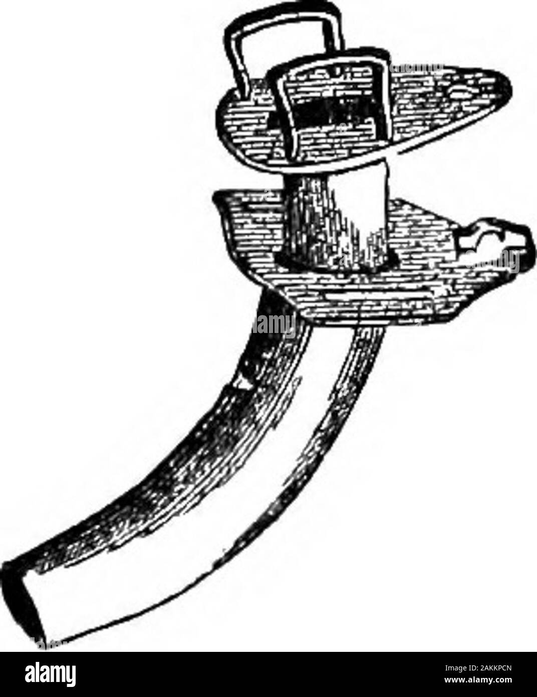 McClure's American cavallo, bovini e ovini medico; essendo una descrizione completa delle malattie comuni a questi animali, insieme con un elenco completo e metodo di somministrazione dei farmaci necessari nel loro trattamento . un-tarrh.) tordo.-(vedi Malattie del piede.)trombo.-(vedere la vena giugulare.) Thumps.-Questo è lo spasmo del diaframma o thacurtain che pende verso il basso e separa la cavità di theabdomen, o il ventre dal petto. Cause. Oltre alla guida e l'oppressione, paralizzante thbaccessory nervo, e quindi le oscillazioni del diaframma. Il trattamento. Posizionare il cavallo in una fresca e ariosa posto, andallow lui pl Foto Stock
