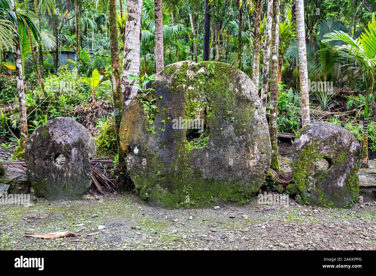 Tre giganteschi preistorici di pietra megalitico di monete o denaro Rai, sotto gli alberi ricoperta nella giungla. Yap Island, Stati Federati di Micronesia, Oceania, Sou Foto Stock