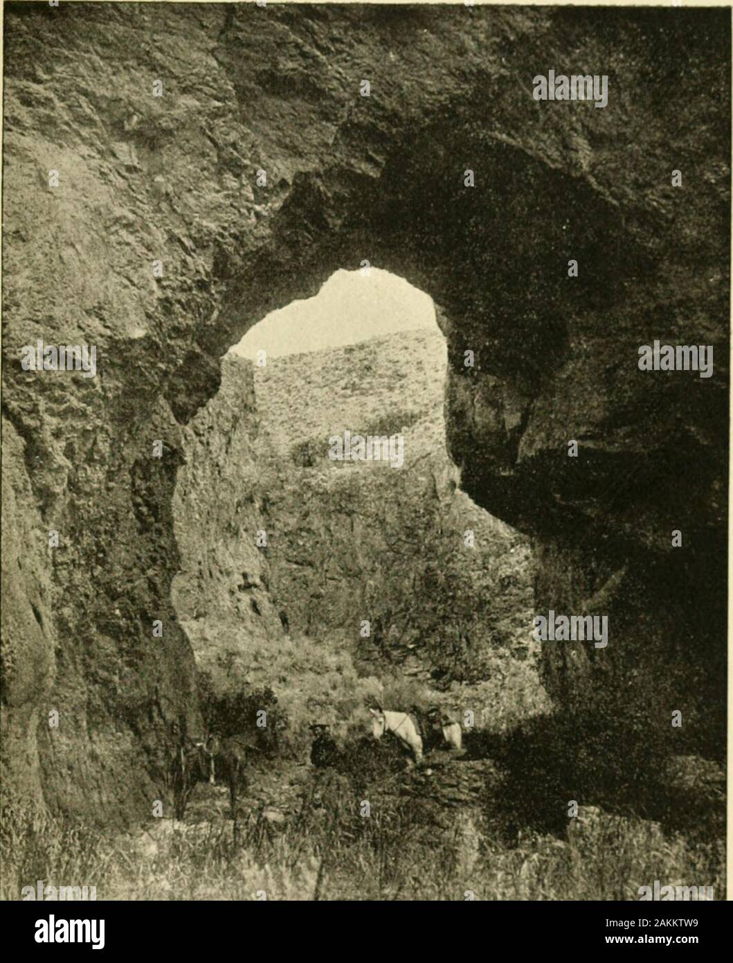 Uno storico, descrittivo e commerciale di directory Owyhee County, Idaho, Gennaio 1898 . e ad ovest quello che sembrava essere un grande flusso,a giudicare dalla formazione topografica delle montagne che sono state welltimbered. Questo è stato segnalato per il saldo in camp. La ne.xt mattina (18 maggio 1863), il nostro gruppo di ventinove, uomini e aboutsixty cavalli e muli era guidata nella direzione del presunto corso d'acqua, che abbiamo raggiunto circa 4:00 oclock p. m., su un punto siamo namedDiscovery Bar circa sei miglia al di sotto dove Booneville ora è. Il localitypresenting un luogo favorevole per il campeggio è stato s Foto Stock