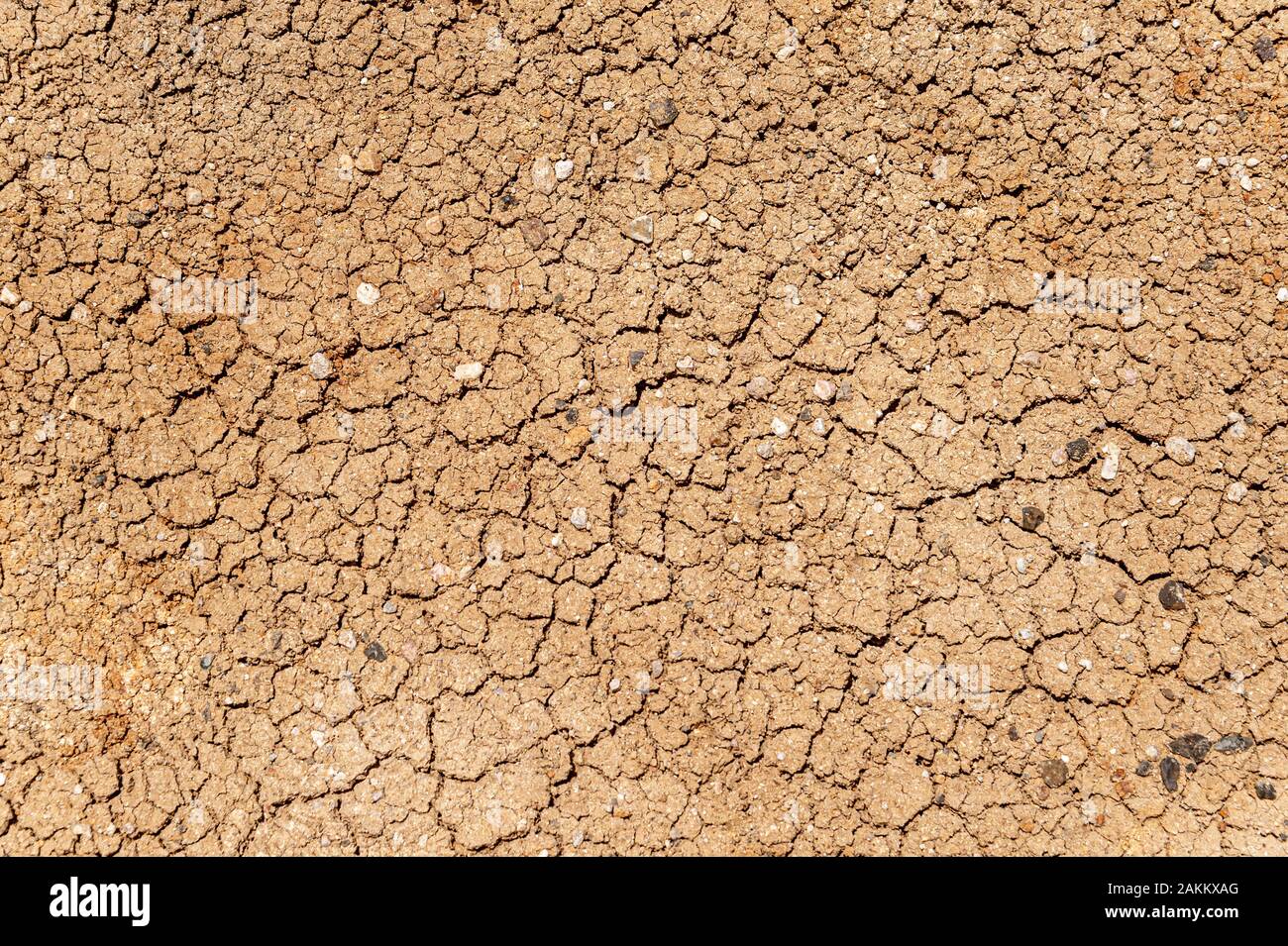 Texture della secca e disidratata crepe del terreno Foto Stock