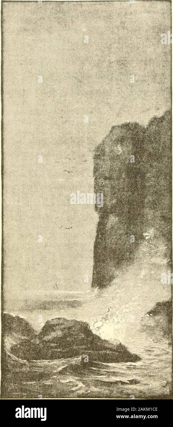 Il pino costa . ) Al di sopra del sur-wrack di arrotondamento di cui itseems, infatti, la suola survi-vor. È fearfully ammaccato andbeaten in dalla tempesta e gelo.Possiamo vedere i fori profondi che il mare ha lavorato fuori alla sua base;abbiamo gettato i nostri occhi fino a ottenere anidea della sua altitudine e wemake un calcolo mentale come tohow tempo Avill essere prima thiscliff, minato a sua volta,verrà giù dal precipizio likethose di Avliich rovine siano solo rimanenti prove.Ma W(^ non so dove tobegin. Il Cliff theages conta come noi contiamo gli anni. Ora la vista di un promontorio stilllonger outfrom avanzamento il Foto Stock