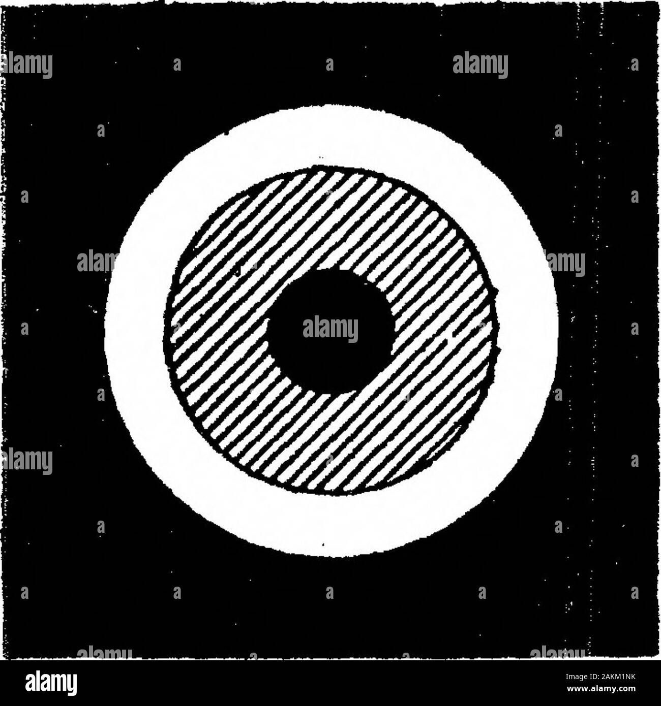 Su After-Images negativo e la loro relazione con alcuni altri fenomeni visivi . ry effetti simili sono stati osservati quando il disco descritto nella sezione Iis ruotato in direzione inversa. Essi naturalmente suggeriscono che whitelight eccita un blu o blu-viola sensazione, la persistenza di whichexceeds che di qualsiasi altra sensazione fondamentale. VII. Esterno e fenomeni di confine. Alcuni molto importanti e interessanti fenomeni sono esposti nella regione del campo visivo immediatamente adiacente a quella su whicha u pulsative dopo-immagine è prodotta. Si tratta di una questione per sur-prise uno che dovrebbe essere Foto Stock