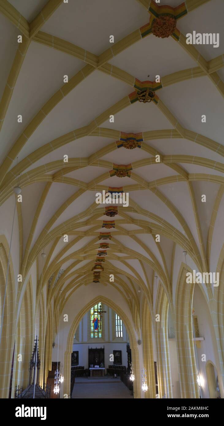 Soffitto con volte a crociera Foto Stock