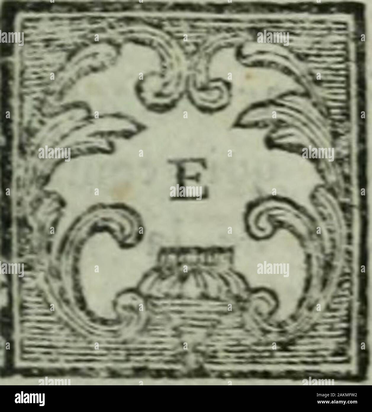 Commentaire sur les coutumes du Maine et d'Anjou ou, Extrait raisonne des autorités, édits & de clarations, arrêts & réglements qui ont rapport à ces deux coutumes . COMMENTAIRE SUR LES C O T V 31 :e S DU MAINE ET DANJOUo. CINQUIEME PARTIE. N cette cinquième Partie efl traitédes Cas de la perte de feudo , & derobéifTance , gli articoli 187, 188, 189, 190, 191, 193, 194 & IQ5 de la Coutume dAnjou -, & 206,207 , 208 , e 211 de celle du Maine. De la forme des Aveux & Déclarations , Ar"tkles 199 & ioo de la Coatums dAnjou; &ZI4& 215 de celle du Maine. Art. C C V. La Cinquième Partie eft des efq cas Foto Stock