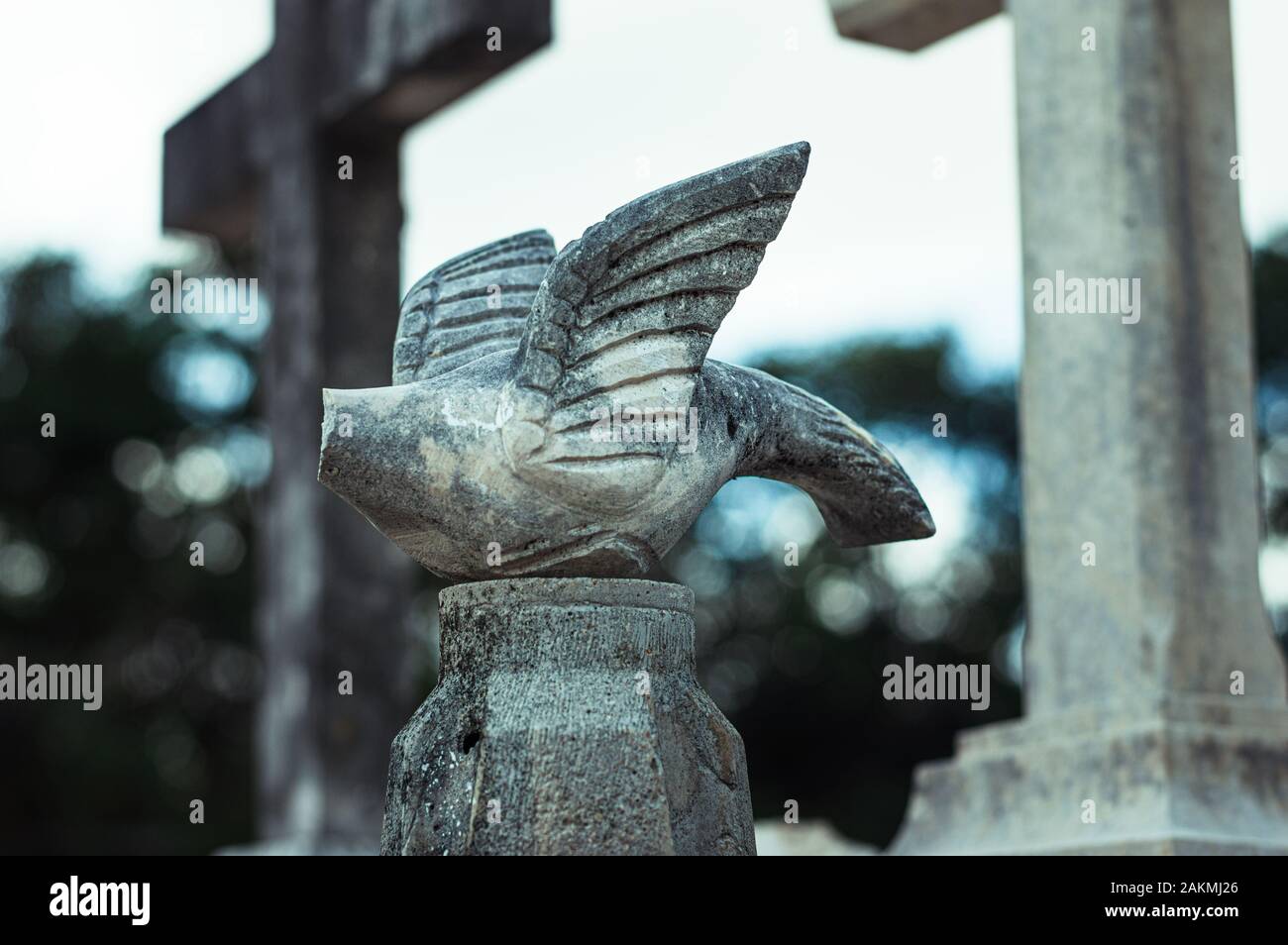 Scultura senza testa di una colomba al cimitero cattolico in Messico. La dove simboleggia lo Spirito Santo. Foto Stock