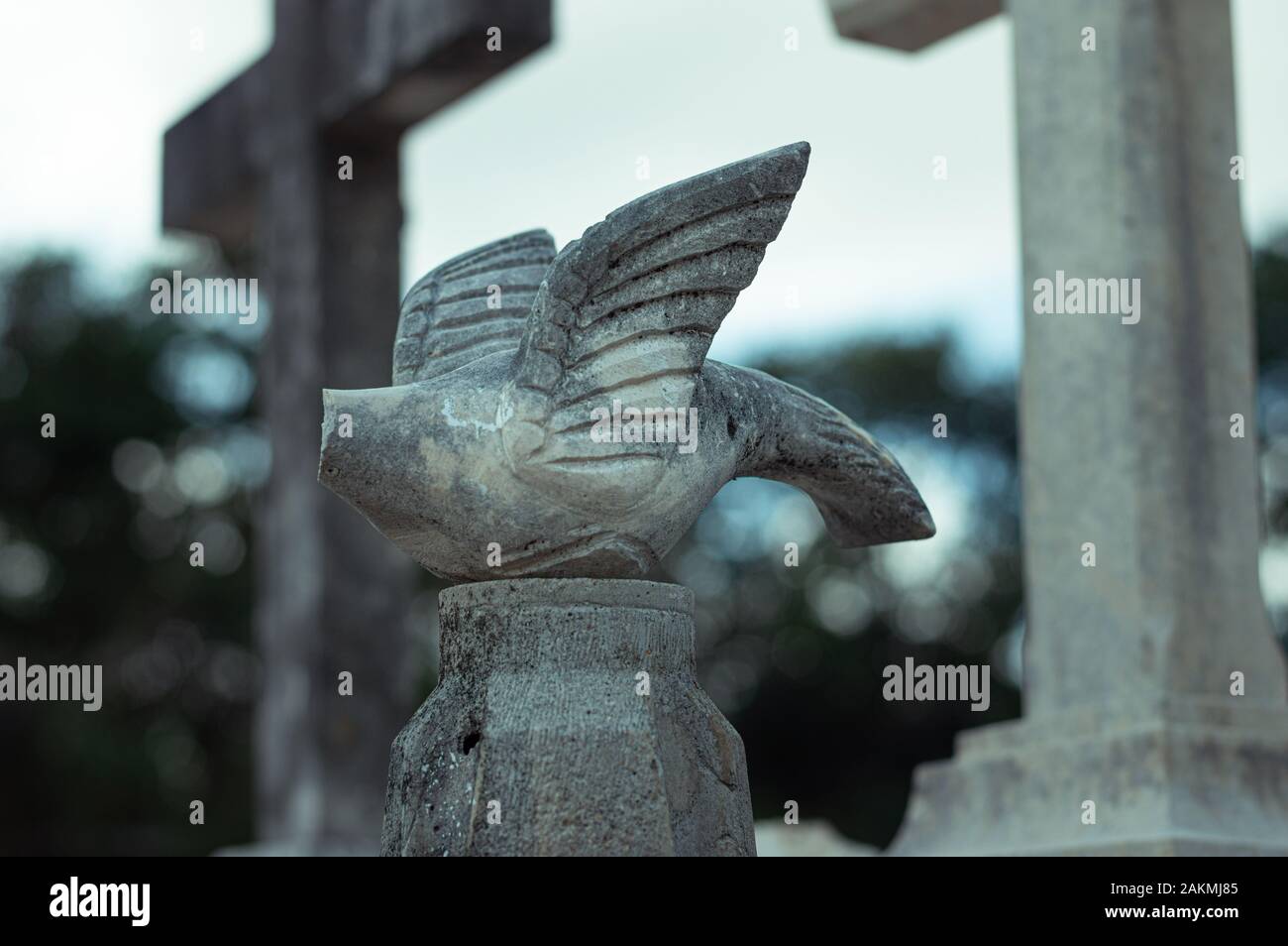 Colomba di pietra senza testa al cimitero cattolico. Colomba che simboleggia lo Spirito Santo. Foto Stock