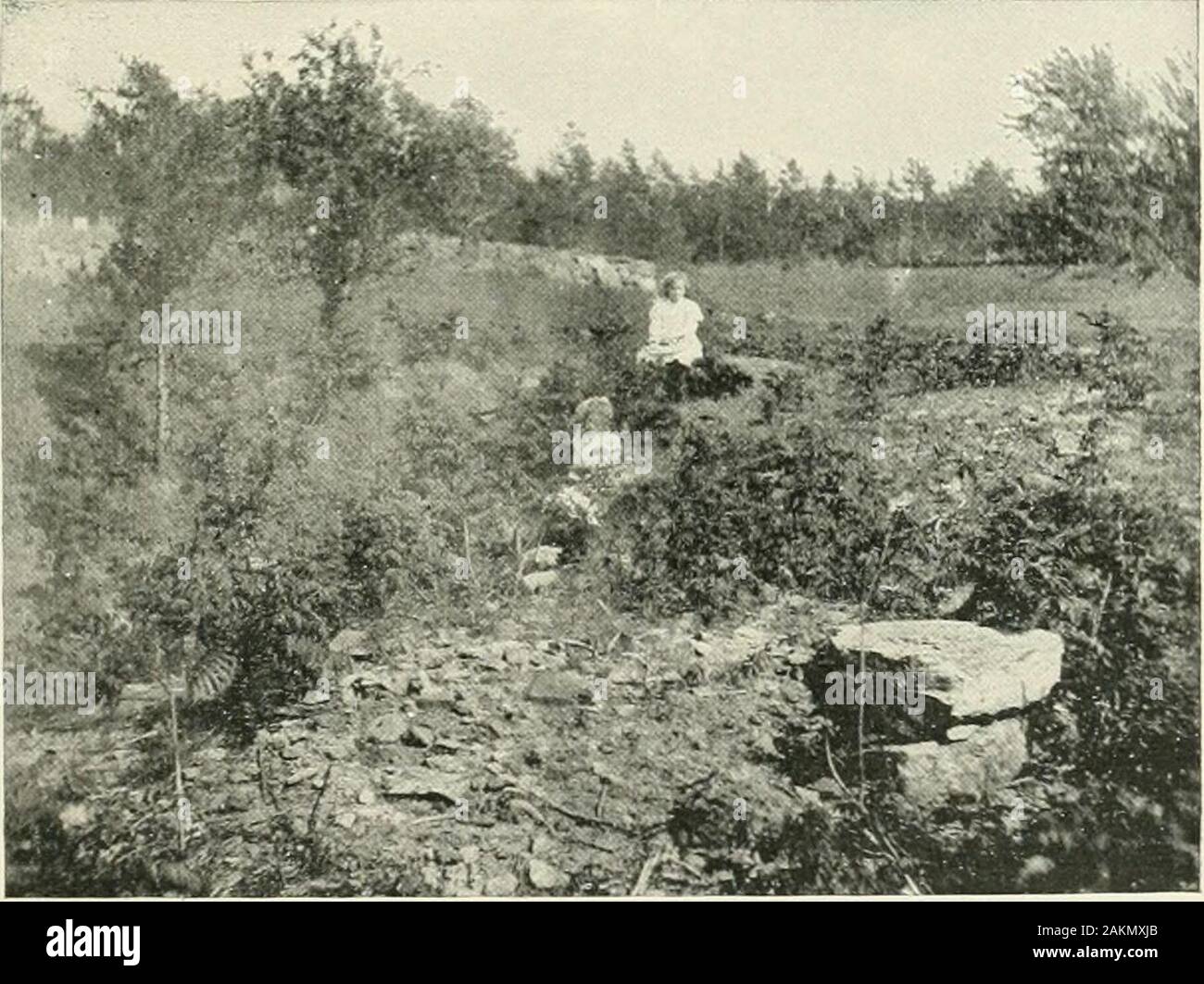 La famiglia Greene e i suoi rami da A.D861 a A.D1904 . Del decimo GEN FIGLIA DI WALTER K. E ALICE ESTEXB. SEP. 12, 1903. Il sito UF MI HA 01 1 IV II X-KIXG HOME, dove GEOROE KIX(t W -VS DATA DI NASCITA Foto Stock
