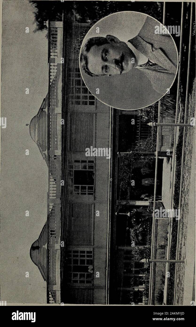 El Salvador al vuelo; notas, impresiones y perfilesRepublica de El Salvador, America centrale, 1917 . Foto Stock
