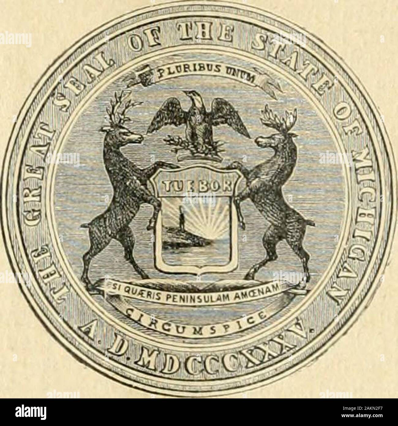 Nouveau dictionnaire encyclopédique illustré universale : répertoire des connaissances humaines . iy est souvent argentifère. Mines de Fer dansle Comté de Marquette. Au nord sul trouveen grand nombre le pin blanc, lépinette, lesapin noir, le bouleau, le chêne, le tremare,lérable, le frêne et lorme. Au sud. Il y a, enmême temps que de cascami praterie, degrandes forêts dont les principales essencessont: le noyer, lérable ii Sucre, le chêne, lenoyer dAmérique, le frêne, le tilleul, lorme,le faux acacia, le cornouiller, le hêtre, lesycomore, le cerisier, le pin. le sapin noir,lépinette, le cyprès, Foto Stock