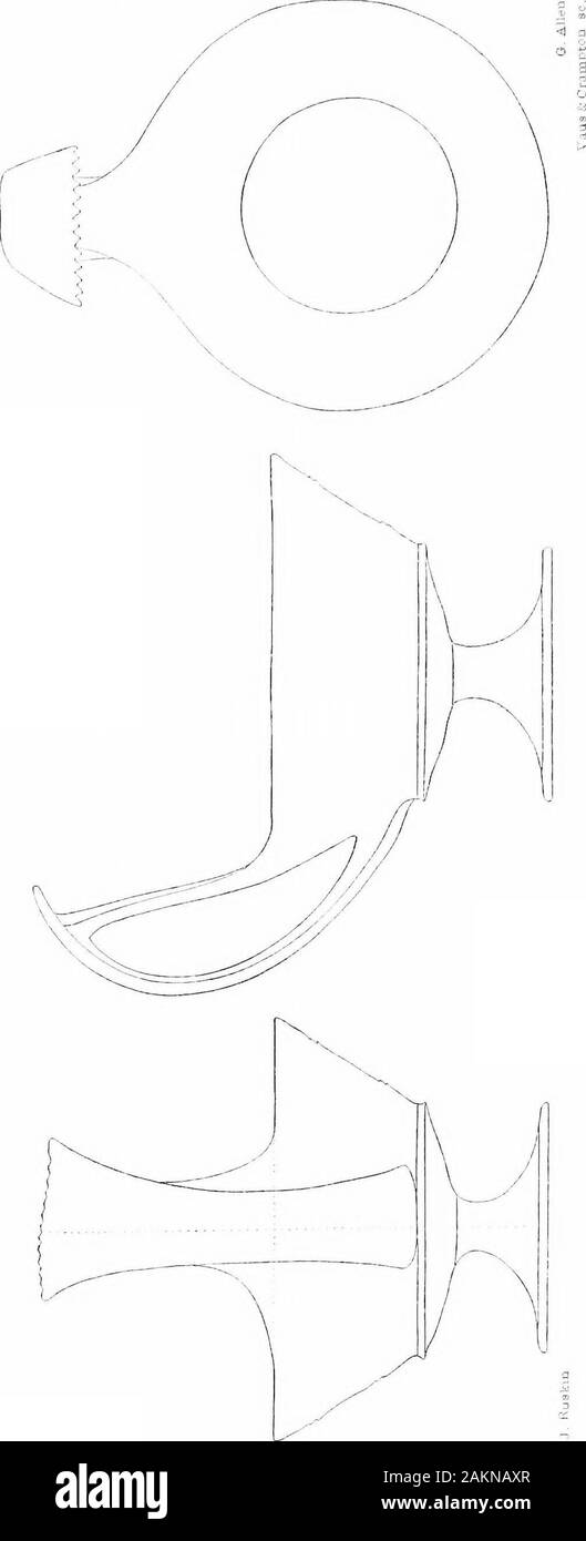 Le opere di John Ruskin . milarly reducedrom Sig. Allens incisione. Il disegno originale di Ruskin è No. 40 inhe rudimentale serie (p. 178). Scudo simbolico di San Michele (da un illuminato MS.).-sulla piastra theame, analogamente ridotta. Il disegno originale è No. 9 in Rudi-nentary serie (p. 174). Schema di un uccello egiziano.-Questo è stato disegnato da Ruskin e incisi&GT;Y G. Allen. È qui ridotto sulla piastra LVI. (P. 253). Contorni di vasi greci (due piastre).-One è qui ridotta su3fine LXXII. dal sig. Allens incisione. Il disegno originale da Ruskin&GT;f il vaso in centro è No. 54 Ho Foto Stock