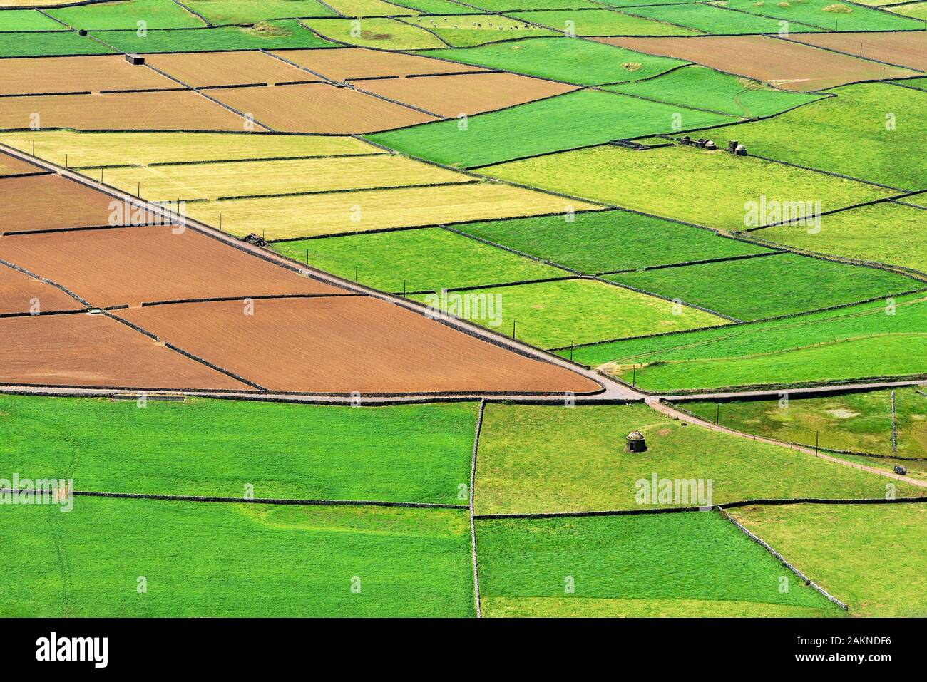 Vista aerea di coloratissimi campi di fattoria Foto Stock