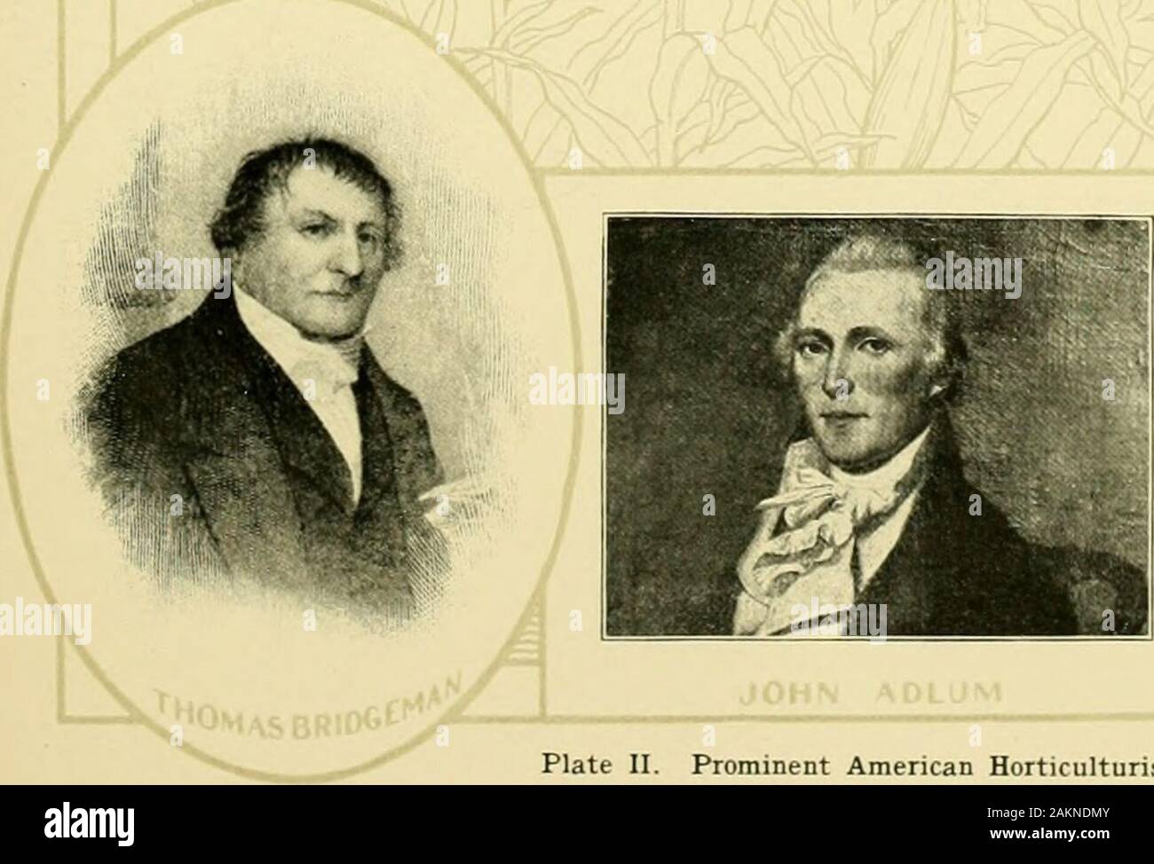 Dell'enciclopedia di American orticoltura comprendente suggerimenti per la coltivazione di piante orticole, descrizioni delle specie di frutta e ortaggi, fiori e piante ornamentali vendute negli Stati Uniti e in Canada, insieme geografico e biografie, e una sinossi del regno vegetale . Foto Stock