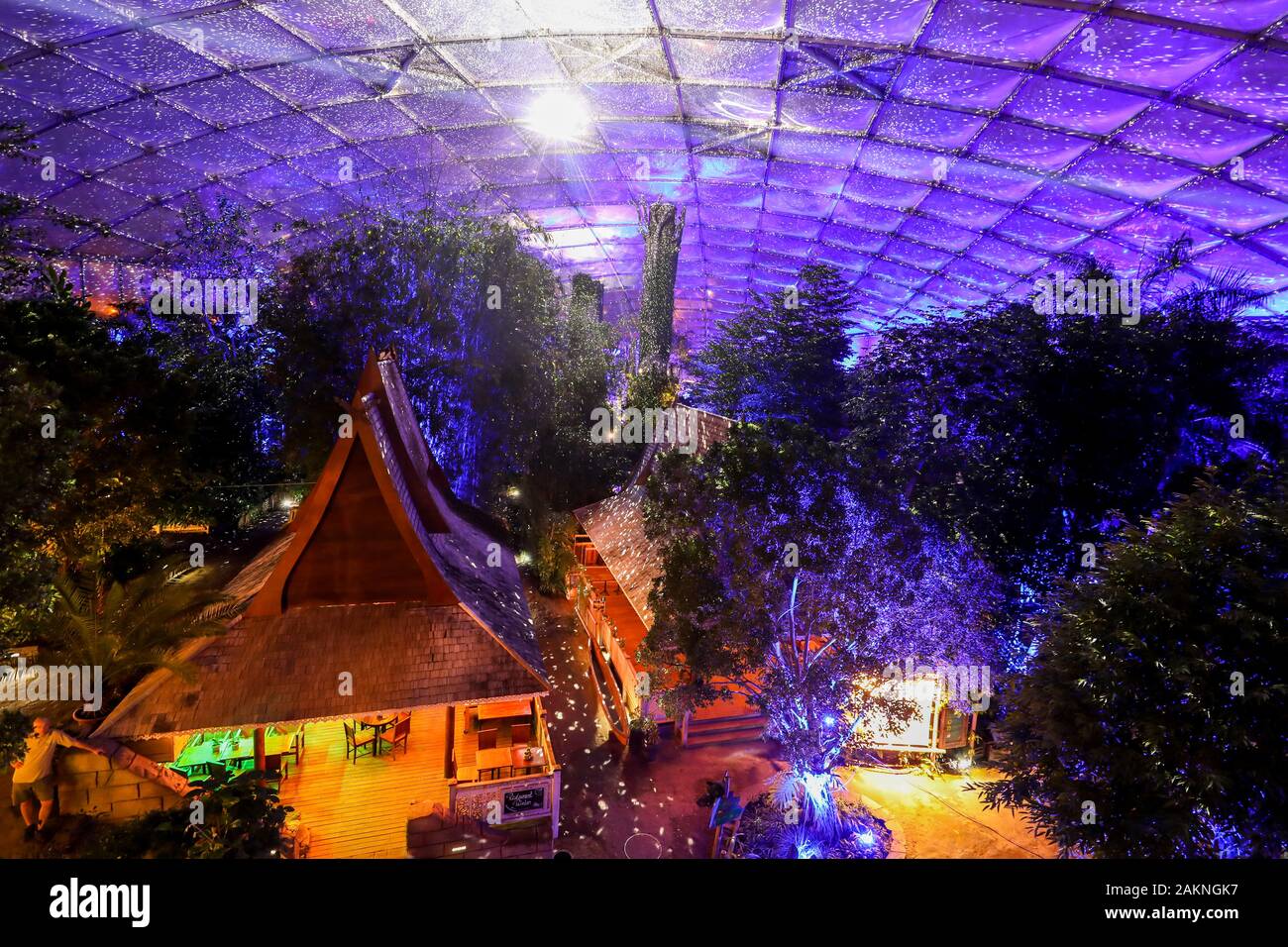 Leipzig, Germania. 9 Gen, 2020. Numerose luci colorate illumina la sala tropicale 'Gondwanaland' in Zoo di Lipsia. Dal 10 gennaio, i visitatori possono fare una passeggiata a piedi lungo un sentiero di luce attraverso lo zoo durante il 'Magical Tropical illuminazione' festival in Gondwanaland. La luce mostra simula il gioco di colori di un giorno tropicale, compreso un cielo stellato con stella di segni. Fino al 9 febbraio è possibile sperimentare la festa delle luci al tropical 26 gradi ogni venerdì a domenica. Credito: Jan Woitas/dpa-Zentralbild/dpa/Alamy Live News Foto Stock