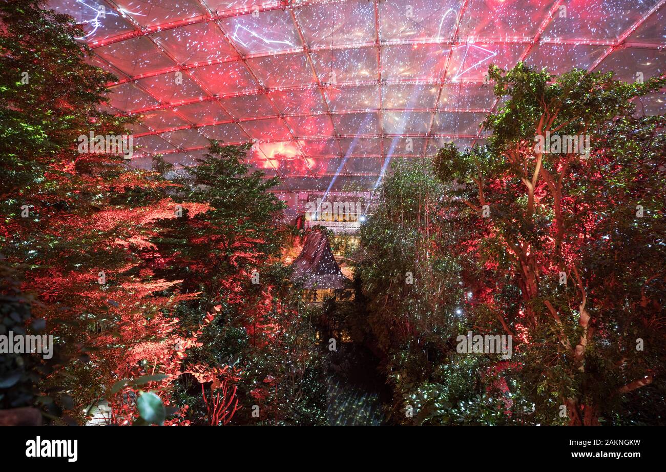 Leipzig, Germania. 9 Gen, 2020. Numerose luci colorate illumina la sala tropicale 'Gondwanaland' in Zoo di Lipsia. Dal 10 gennaio, i visitatori possono fare una passeggiata a piedi lungo un sentiero di luce attraverso lo zoo durante il 'Magical Tropical illuminazione' festival in Gondwanaland. La luce mostra simula il gioco di colori di un giorno tropicale, compreso un cielo stellato con stella di segni. Fino al 9 febbraio è possibile sperimentare la festa delle luci al tropical 26 gradi ogni venerdì a domenica. Credito: Jan Woitas/dpa-Zentralbild/dpa/Alamy Live News Foto Stock