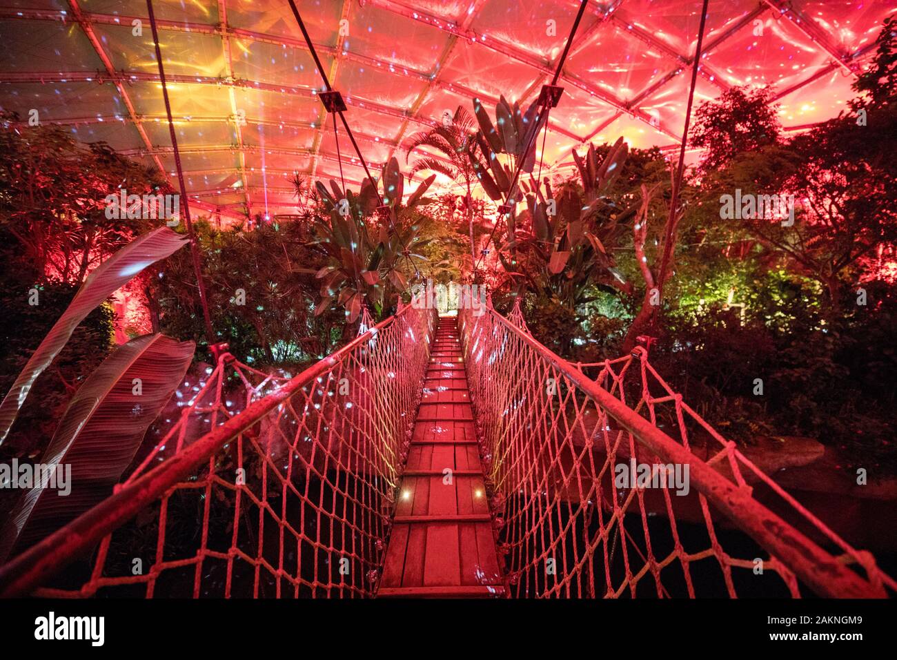 Leipzig, Germania. 9 Gen, 2020. Numerose luci colorate illumina la sala tropicale 'Gondwanaland' in Zoo di Lipsia. Per il 'Magical tropicale' Illuminazione light festival in Gondwanaland, i visitatori possono passeggiare lungo un sentiero di luce attraverso lo zoo dal 10 gennaio 2020. La luce mostra simula il gioco di colori di un giorno tropicale, compreso un cielo stellato con stella di segni. Fino al 9 febbraio 2020, la festa delle luci può essere sperimentato in un tropicale 26 gradi ogni venerdì a domenica. Credito: Jan Woitas/dpa-Zentralbild/dpa/Alamy Live News Foto Stock