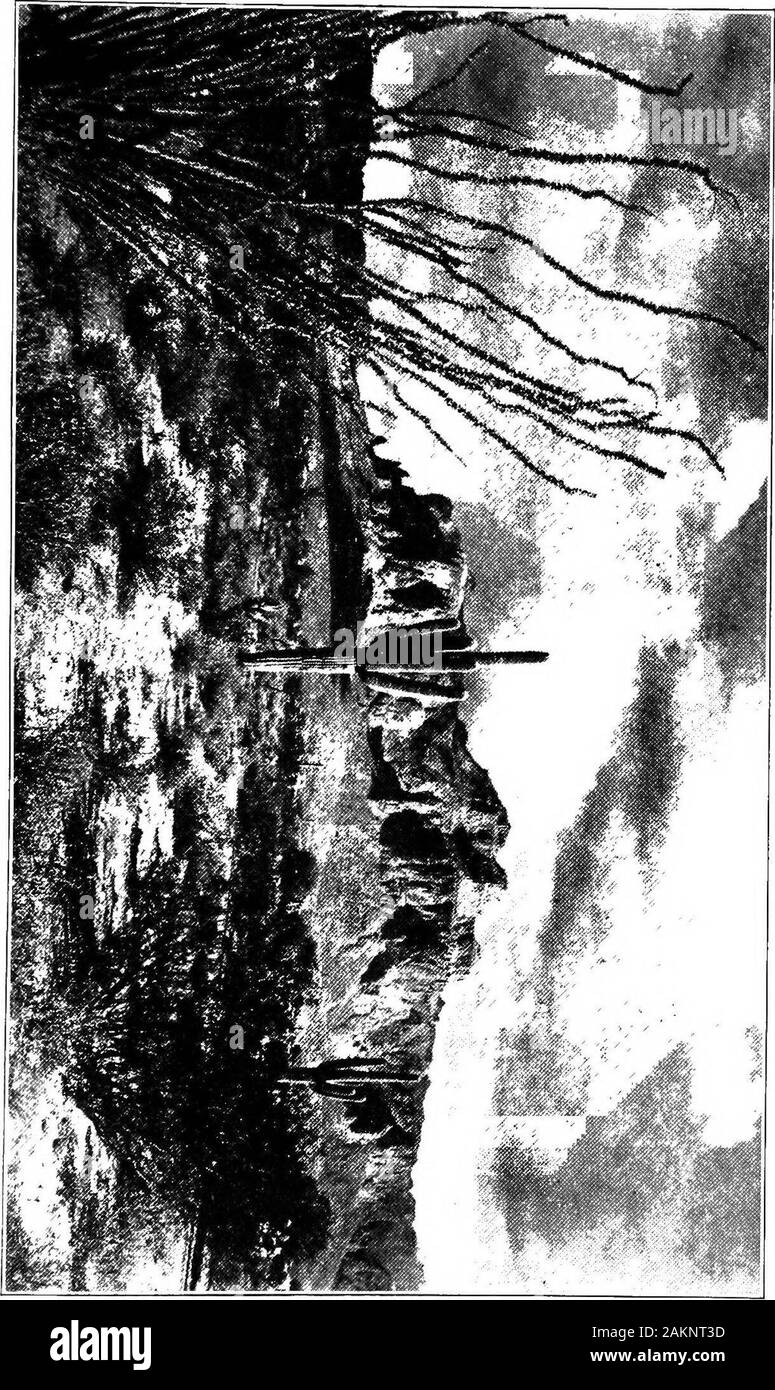 La storia di Arizona . n può andare coatless withcomfort a metà inverno. Ci sono otherplaces nello stato in cui il camper-out, se hewould mantenere i brividi dalla schiena, deve havean sera fire in tutta l'intera estate.Questi valori estremi di temperatura sono causati da dif-ferences in altitudine, e come nella più bassa piovosità altitudesthe non è più di cinque pollici per l'entireyear, e in luoghi di montagna è cinque volte orsix tale importo, le variazioni di impianto lifeare ancora più impressionante le condizioni climatiche differiscono-meeting. Topograficamente, Arizona cade naturalmente intothree fisiche distinte di Foto Stock