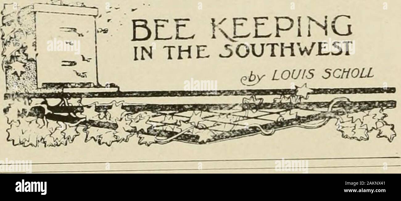 Spighe in bee cultura . sulla Fiera del miele, gli uomini-ziona pulito fresco pettini, un ben crowdedhive, e ben stagionati di miele. Il prof. H. A. Superficie diede un interestingand molto apprezzata indirizzo lungo la linesgiven al fine di internazionali. Risoluzioni werepassed, chiedendo una più rigorosa applicare-mento del puro-legislazione alimentare e che suchterms come sciroppo d'acero puro miscela,puro miele miscela, ecc., essere vietata,come era destinato a velo sofisticazioni. Aresolution era anche passata, chiedendo che dem-onstrations in apicoltura e miele pro-riduzione, anche manifestando la sua naturale-tory del bee un Foto Stock