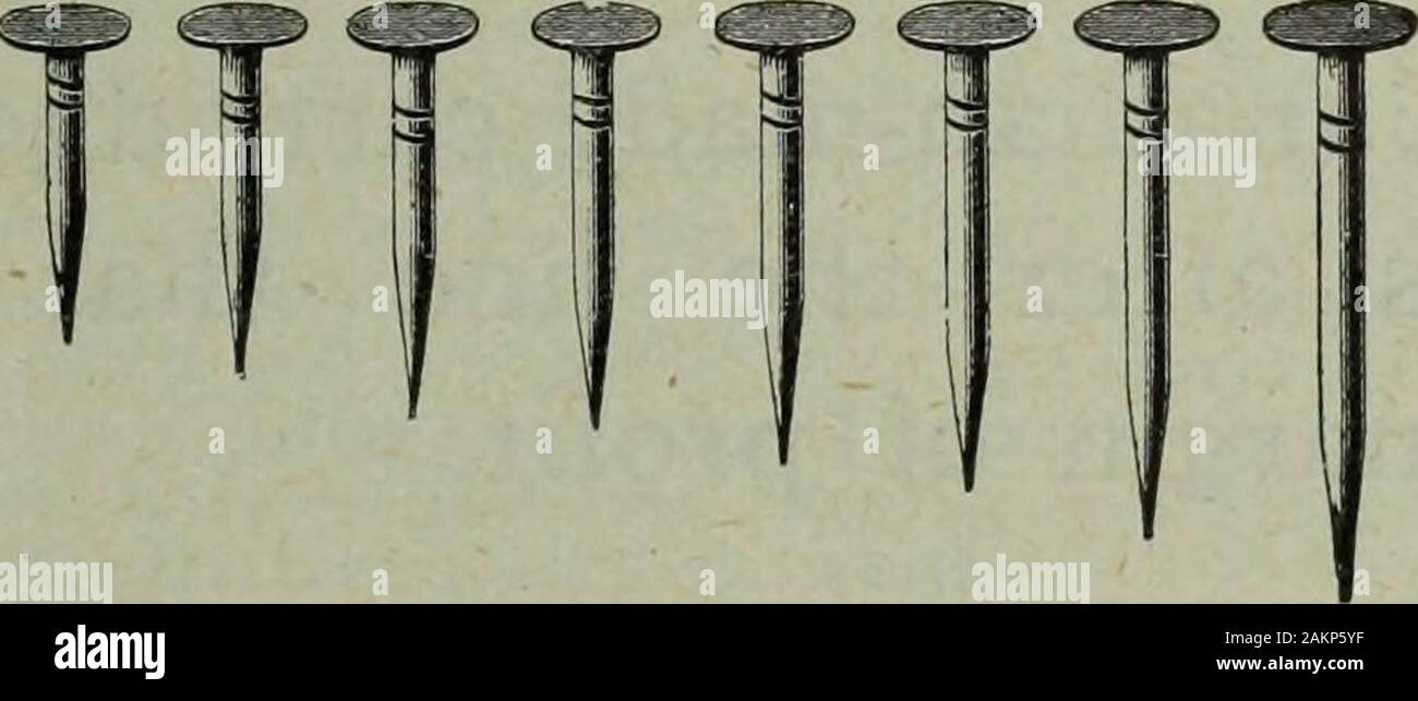 Merchandising Hardware Ottobre-Dicembre 1910 . I quattro leader commerciali loz.ll-oz.2-oz.21-oz.3-oz. 4-oz. 6 oz. S-oz. lOoz. 12-oz. 14-oz. 16-oz. 18-oz. 20-oz. 22-oz. 24-oz. TTTTT V. forniti sia in bulk papersand AMERICAN bluastri o tappeto TINNEDWIRE chiodini unica, perché ? Poiché nessun altro tack sul mercato può pretendere di mantengono un perfettamente rotonda pulire testina pressato, con assolutamente cilindricamente shapedshanks e punti di ago, senza fastidiose sporgenze o superfluousmetal a ferire il più fragili tessuti, tutte queste funzioni sono rivestite con asuperior qualità dell'azzurramento, che li rende una delle prese Foto Stock