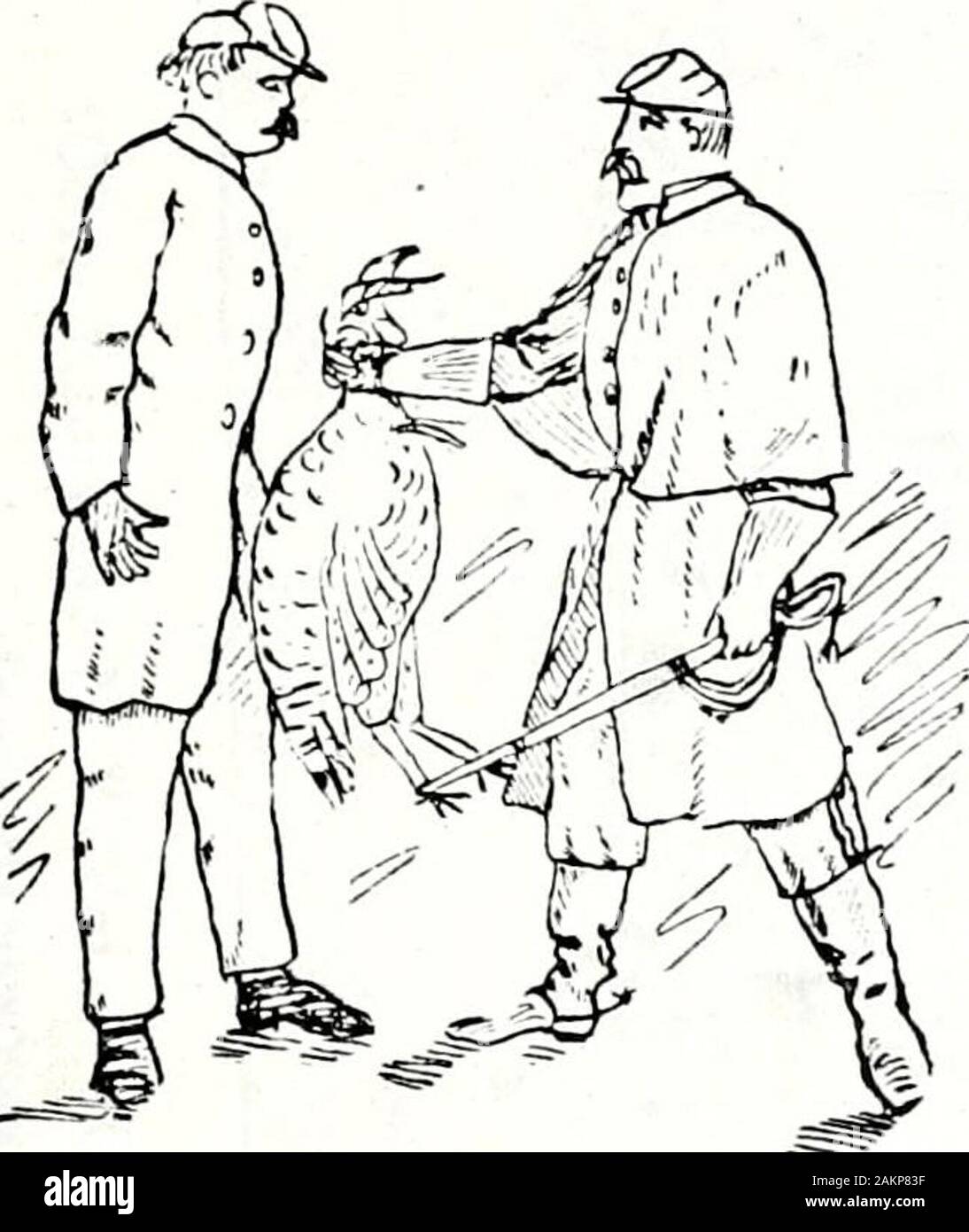 Una completa storia militare e del record del reggimento 108th N.Yvols., dal 1862 al 1894insieme con roster, lettere, ribelle giuramenti di fedeltà, ribelle passa, reminiscenze, vita schizzi, fotografie, ecc., etc . tv-- quattro. Questo Plunkett è stato il burlone di valiant Comjinny D,come l)rave come egli era divertente e da tutte le cattive abitudini libera:con questa una piccola eccezione - e nessuno in quel momento,potrebbe pensare di immissione rovistando sotto il divieto della criminalità - di rubare la buona volontà di entrambe le ofKcors e uomini.e ogni otla-r cosa su cui le sue dita potrebbero scendere,O, quelli erano buoni vecchi tempi famoso ! Id lov Foto Stock