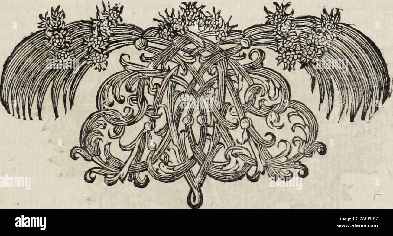 Dictionnaire françois.. . Bartok. Les vulgaires efprits punto naiment les Poè-tes, V u L; m j et tant quon fait des vers su na guère dar- Gent. Gon. Epi. ]Vulgairement, Adv. Communément. Aprenez àvoui énoncer moins vulgairement. Mol.PrétieH*fes.f. 6. Vive, vive la maquerelleQue vulgairement su un pelleUne bourfe pleine décus.Mai. Poëfies.]Volgata, ff Ce mot fe dit en parlant delà verfion delEcriture Sainte, & veut terribili traduction généra-lement reçue. [ Su un lungo tem equilibrio sil fe-rait mieux de fuivre dans cette traduction , 1 Hé-breu que la Vulgata. Port-Roial, Pfeaumes ,avisauleiJeur. ]Vul Foto Stock