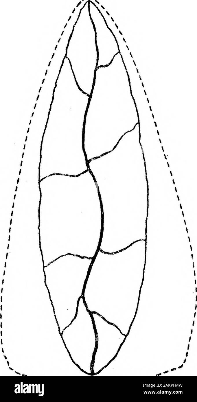 La transizione dalla selce Rostro-Carinate implementa la Tongue-Shaped implementa di River-Terrace ghiaie . Figura 7. Fig. 8. sulla superficie piana inferiore tra DE e E-F. In questo processo le due portionsof granuli tabulari di pietra focaia limitata dal continuo e le linee tratteggiate, e indicato da thenumerals 1 e 2 vengono rimossi. In fig. 8b il pezzo di granuli tabulari di selce e thepalaeolithic implementare sono mostrati nel profilo e si noterà che il onlyportion dell'originale#superficie piana G-J viene trattenuta in corrispondenza di H, e solo la parte di sullasuperficie K-M è trattenuto a L. a questi due punti H e L, una piccola Foto Stock