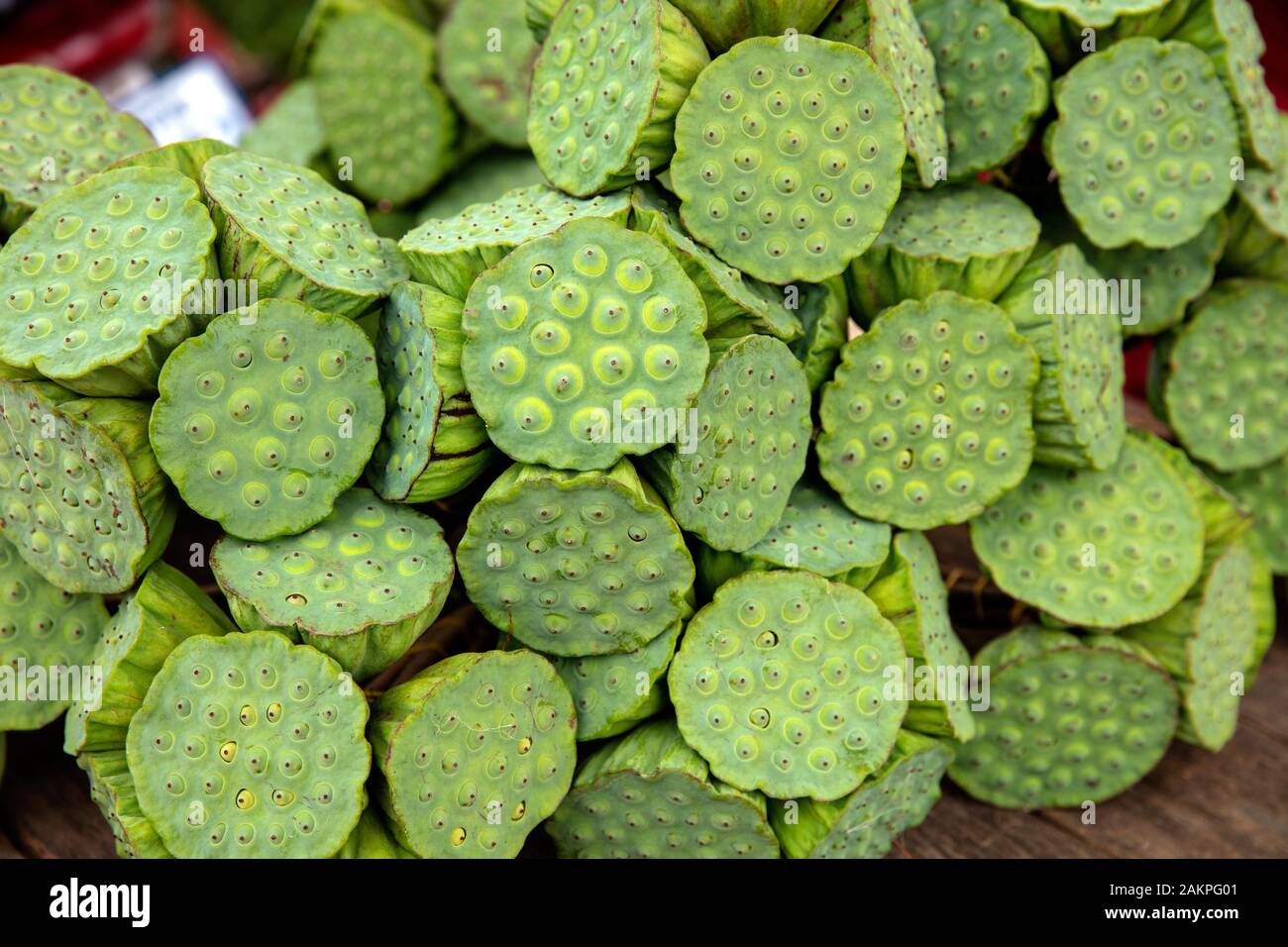 Molti dei verdi lotus Foto Stock