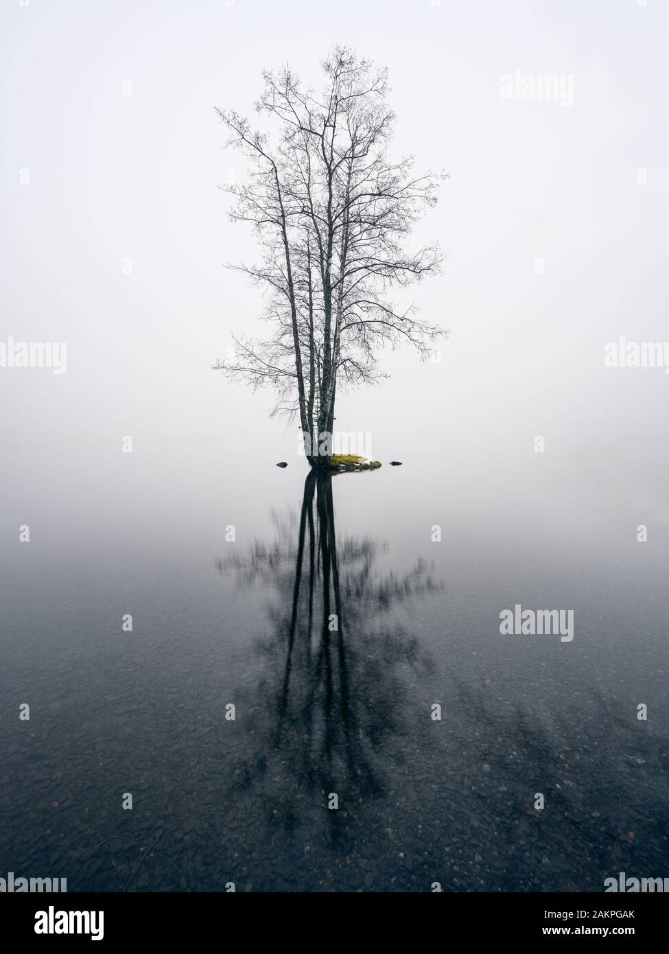 Mood nebbioso paesaggio con idilliaca isoletta e lago calmo in autunno mattina in Finlandia Foto Stock
