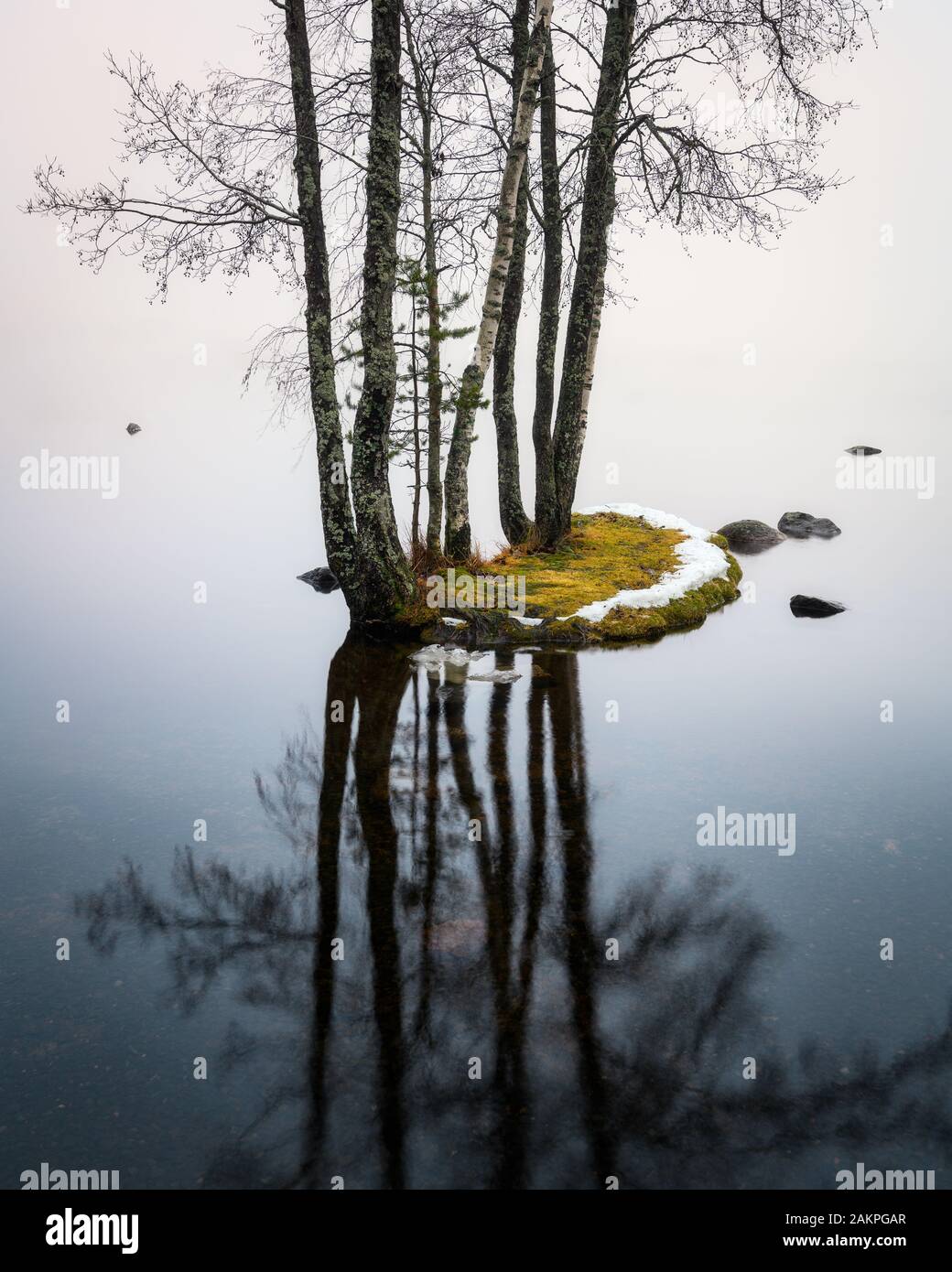 Mood nebbioso paesaggio con idilliaca isoletta e lago calmo in autunno mattina in Finlandia Foto Stock