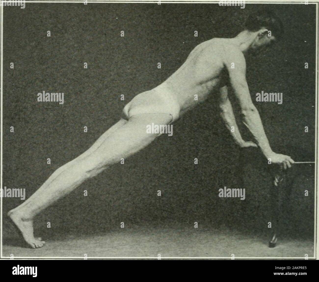 Applicata anatomia e kinesiologia; il meccanismo di movimento muscolare . imparare a stare, isessentially lo stesso per quanto riguarda la posizione del tronco come naturalposition di quadrupedi. Qui il tronco è supportato in corrispondenza della sua twoextremities e la sua ^ otto tende a farla sag nel mezzo,che sarebbe un prolungamento o un'estensione eccessiva della colonna vertebrale. 220 MOVEMEXTS DEL SPIXAL COLUMX muscoli addominali, come flessori della colonna vertebrale, hanno per preventthis movimento e tenere il tronco parzialmente flessa. Come risultato theyoung bambino, come i quadrupedi, è atta ad avere forti abdominalmuscles, mentre sono oft Foto Stock