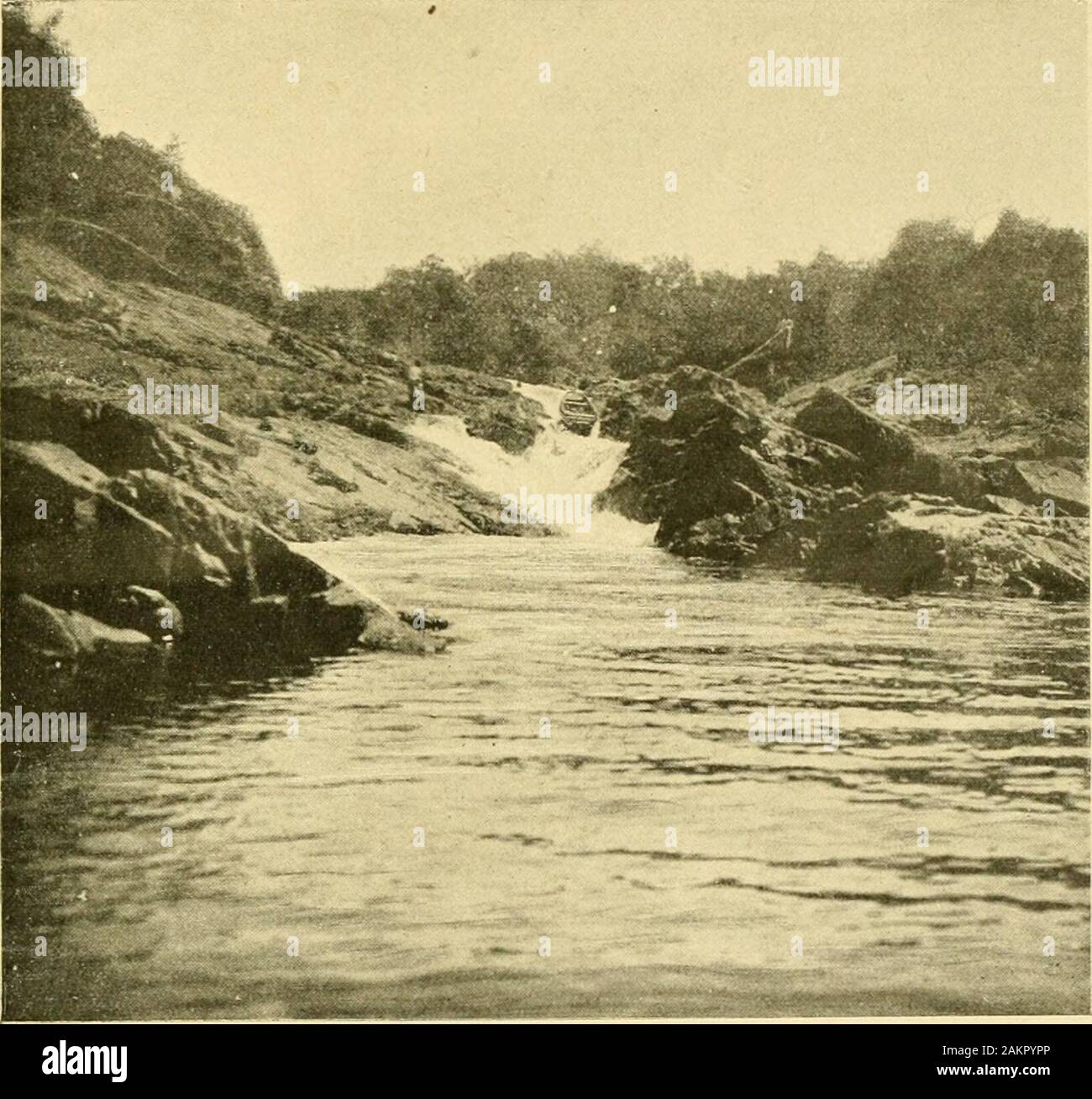 Voyage au Trombetas, 7 août 1899-25 novembre 1899 . . VOYAGE AU TnOMRETAS.  75 Allierraos, siii- la rive gauche dans le campo les layanas. Dans le  MoyenCachoiTO des Cachiianâs. (Voir le cartiglio