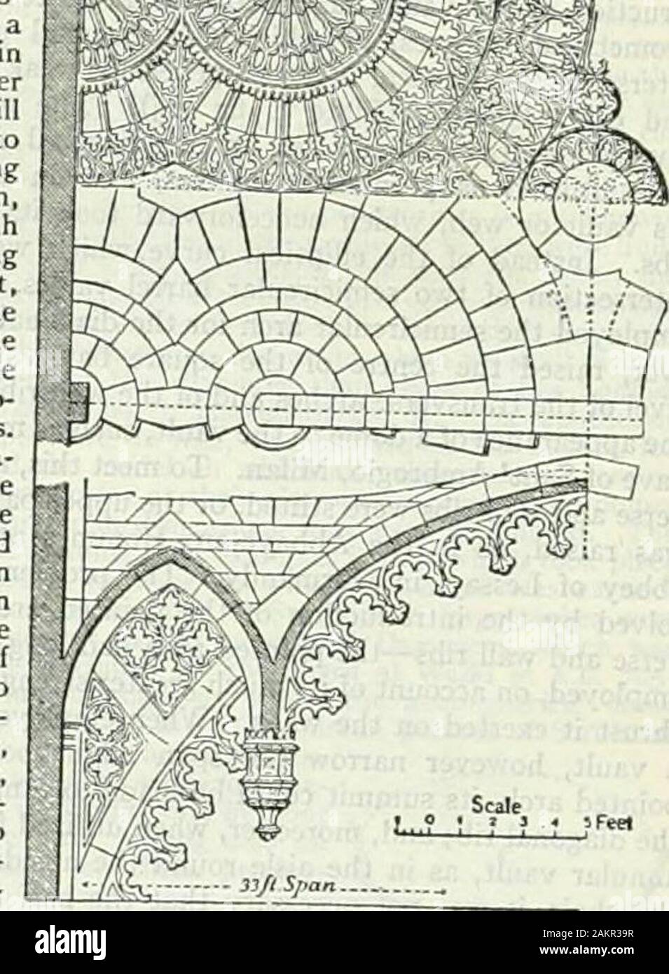 Enciclopedia Britannica; un dizionario delle arti, delle scienze della letteratura e informazioni generali . in F?l'ance essendo thependant della cappella della Madonna a (faudebec, in Nonnandy. In FrlinceGermany e Spam la moltiplicazione delle nervature nel xv centuw più un necesS^ Germania, riconoscendo che la nervatura non era caratteristica costruttiva, .-r.--- /^!V hanno tagliato ab- I vt!-.^r-^-.-.-^^:::^Ot^ruptly, lasciando solo qstump; irFrance, sul otherhand, hanno dato importanza stillmore lacoppia di nervatura, da makingit di profondità maggiore,piercing iviihtracery it e hangingpendants da esso,e web becamea stonep orizzontale Foto Stock