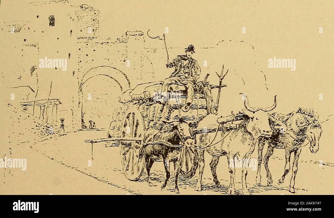 Gita . decho e polvere non sono più tre littlebeggars; essi sono diventati la forma-mento di tutti la speranza e la gioventù, i simboli oflife, di amore e di espressione. Il partito wistfully dita la babysoranges, desiderare che avesse dato anche superiorea assurda la somma di una lira per thoserather danneggiato negozio di souvenir. Americanapicks fino al mazzetto di anemoni e buriesher devono affrontare nella loro viola. Così con clatterand lotta, i cavalli intorno al lastcurve, girare la navigazione e la strada del sogno è lasciato alle spalle, ma non del tutto. Per DreamRoads tenere la destra su. Essi corrono. throughhuman cuori e hanno sempre un theirmyrtles Foto Stock