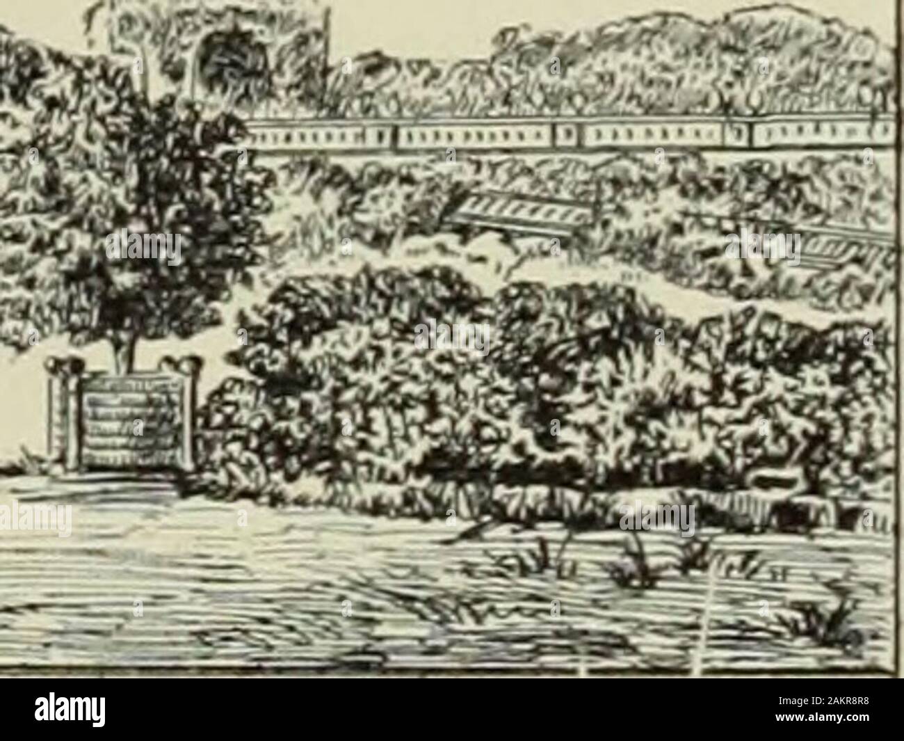 Les arts dans la maison de Condé . Le pahterre de lOh.wgeiue. l gvleiue des V.delle microimprese, le p.vmllon d.Vpollo.n LE JeL UE PAL.ME et placés dans les Jardins du Luxembourg, furenti reslituis au prince de Condésous la Restauration; ils décorent aujourdhui la Terrasse du grand parterre deChantilly. La Galerie des vasi, au long de laquelle coulait le ruisseau fourni par la fontainedes Cerfs, fut terminée au mois de mai 1785. En même temps fut construit le pavillondApollon. Una gauche, le théâtre se trouvait ainsi dégagé. A droite, sur lemplacementdu pavillon des Étuves, su descendait àlile dAmour par onu Foto Stock