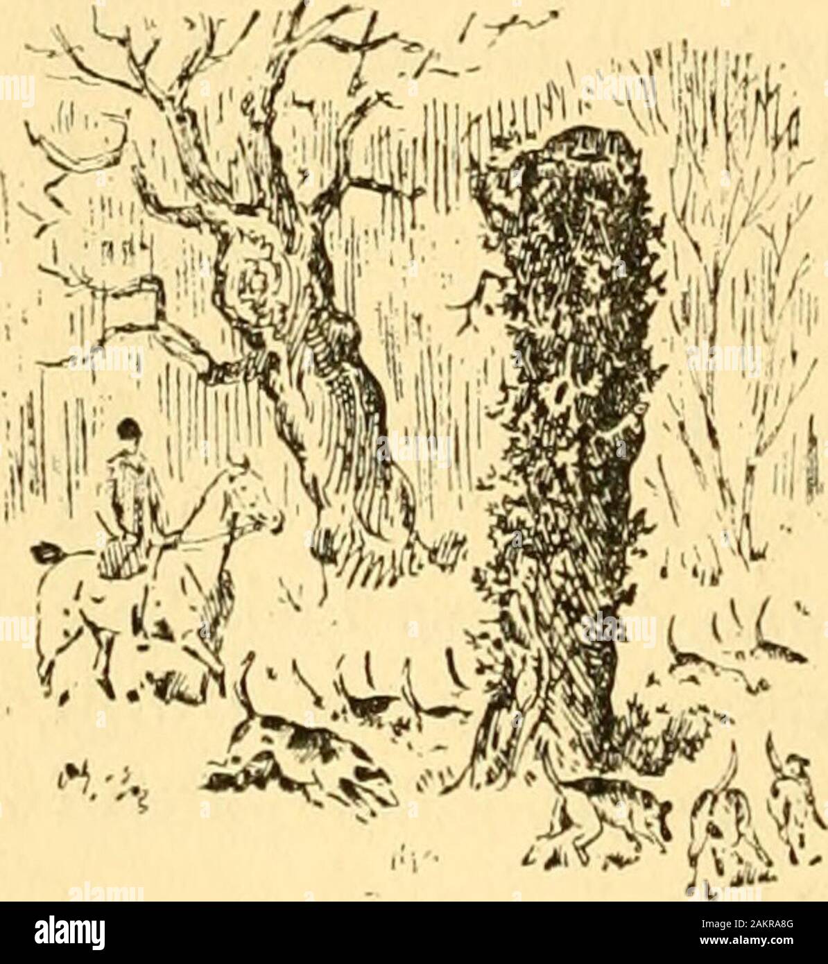 La vita di una volpe scritte da lui stesso . frisks aboutlike un'anguilla, così come non possiamo toccare Onu a volte.constatazione che non ho avuto nessun amico a dire una buona wordfor me scappato e quando visto in un distancehave spesso è stato scambiato per una volpe e spaventate dail grido di Tally-ho ! Tally-ho ! E il houndsfollowing me. Che non hanno mai catturato me Isuppose può essere attribuito alla mia non havingthe fox profumo forte. La tua storia è meravigliosa ; ma devo dubbio itstruth fino a che non vedi la tua madre. Ho paura che tu artlike altre creature vane, che, conoscendo la loro ownunworthiness, sarebbe fain collegare se stessi withthose chi sono io Foto Stock