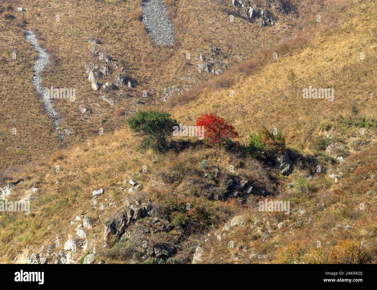 Vista autunnale sulle montagne Tian Shan Foto Stock