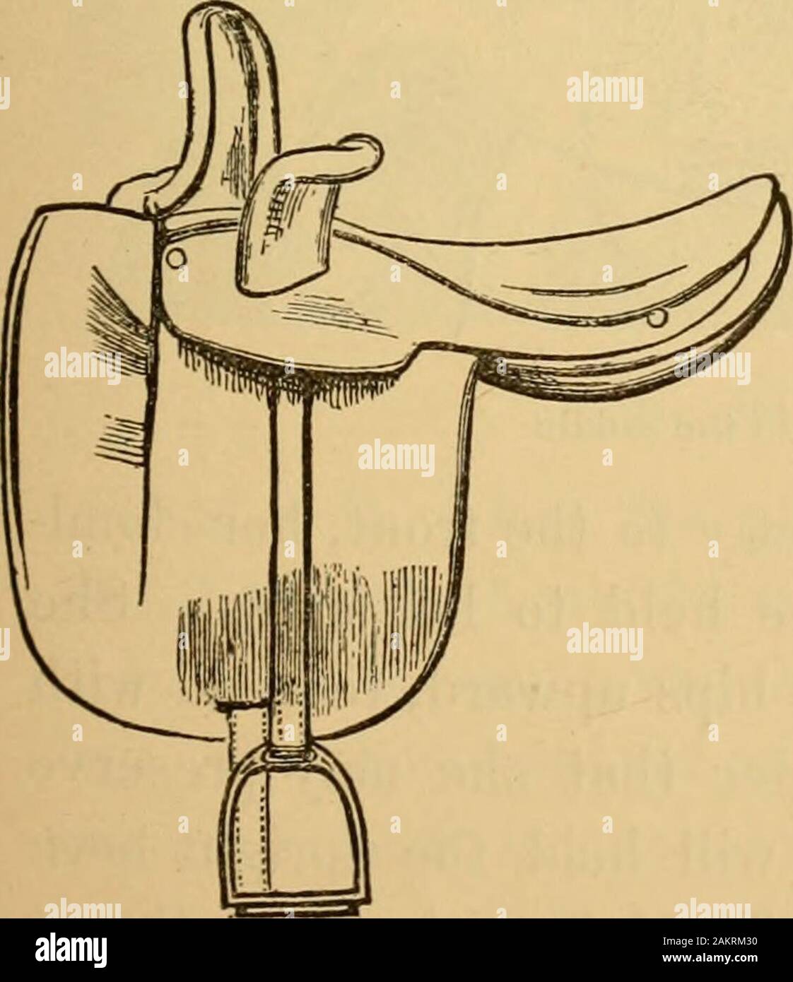 L'arte di addomesticare e di educare il cavallo : con i dettagli della gestione in soggezione di oltre quaranta rappresentante vizioso dei cavalli e la storia dell'autore della sua esperienza personale : insieme con capitoli su alimentazione, stalle, ferratura, e la pratica di trattamento per malattia, zoppia, etc: con un gran numero di ricette . il polso per la sinistra, in modo che il dito-unghie venite in alto, il cavallo sarà girato a sinistra. Non ci deve mai essere alcuna tensione sui due bit nello stesso tempo. Il cavallo deve essere cavalcato sul marciapiede; il snafHe dovrebbe essere utilizzato per fissare il heiaht della sua testa e occas Foto Stock