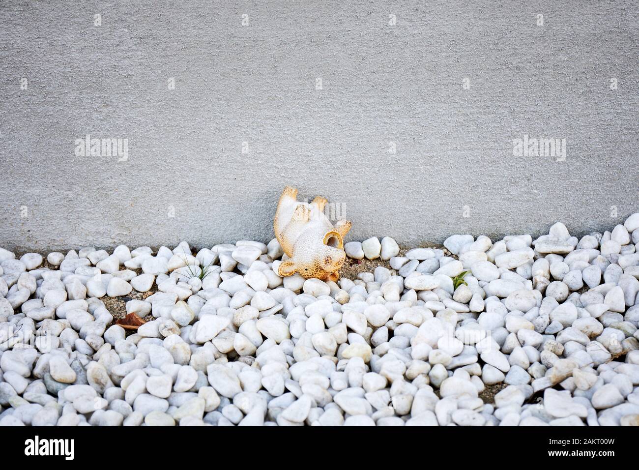 Reclinabile animale in plastica Foto Stock